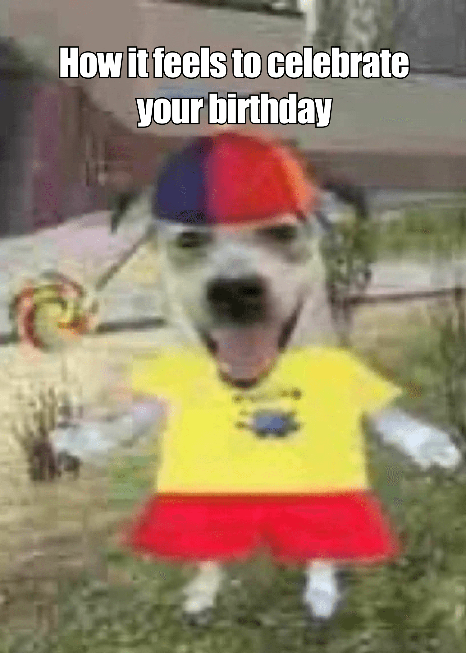 How It Feels to Celebrate Birthday Card