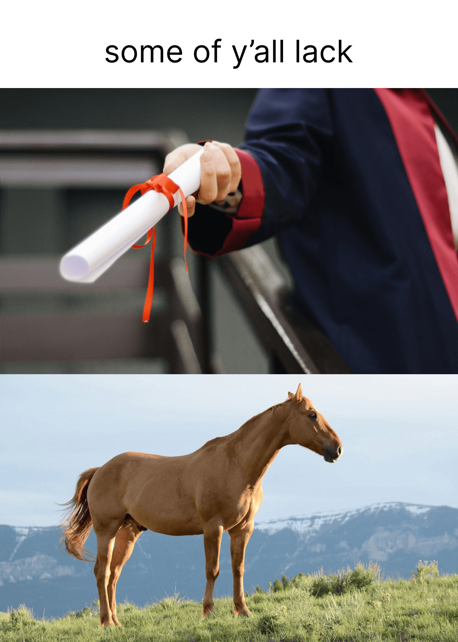 Some of Y’all Lack Grad Card