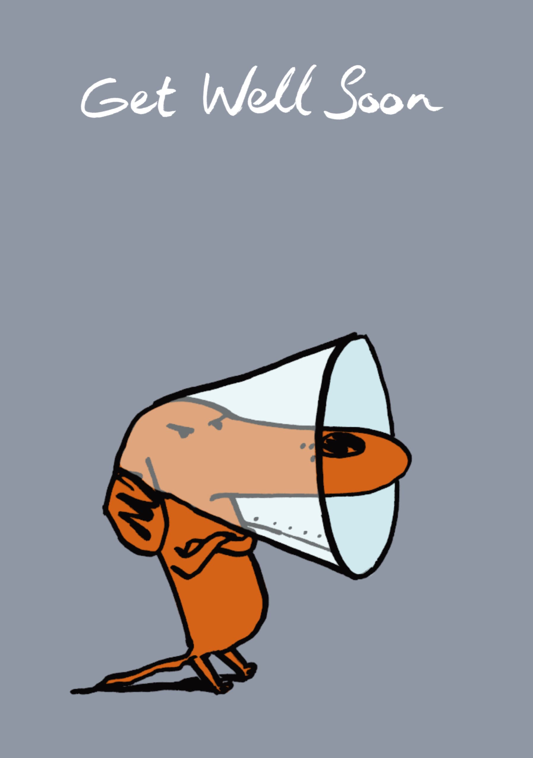 Cone of Shame Get Well