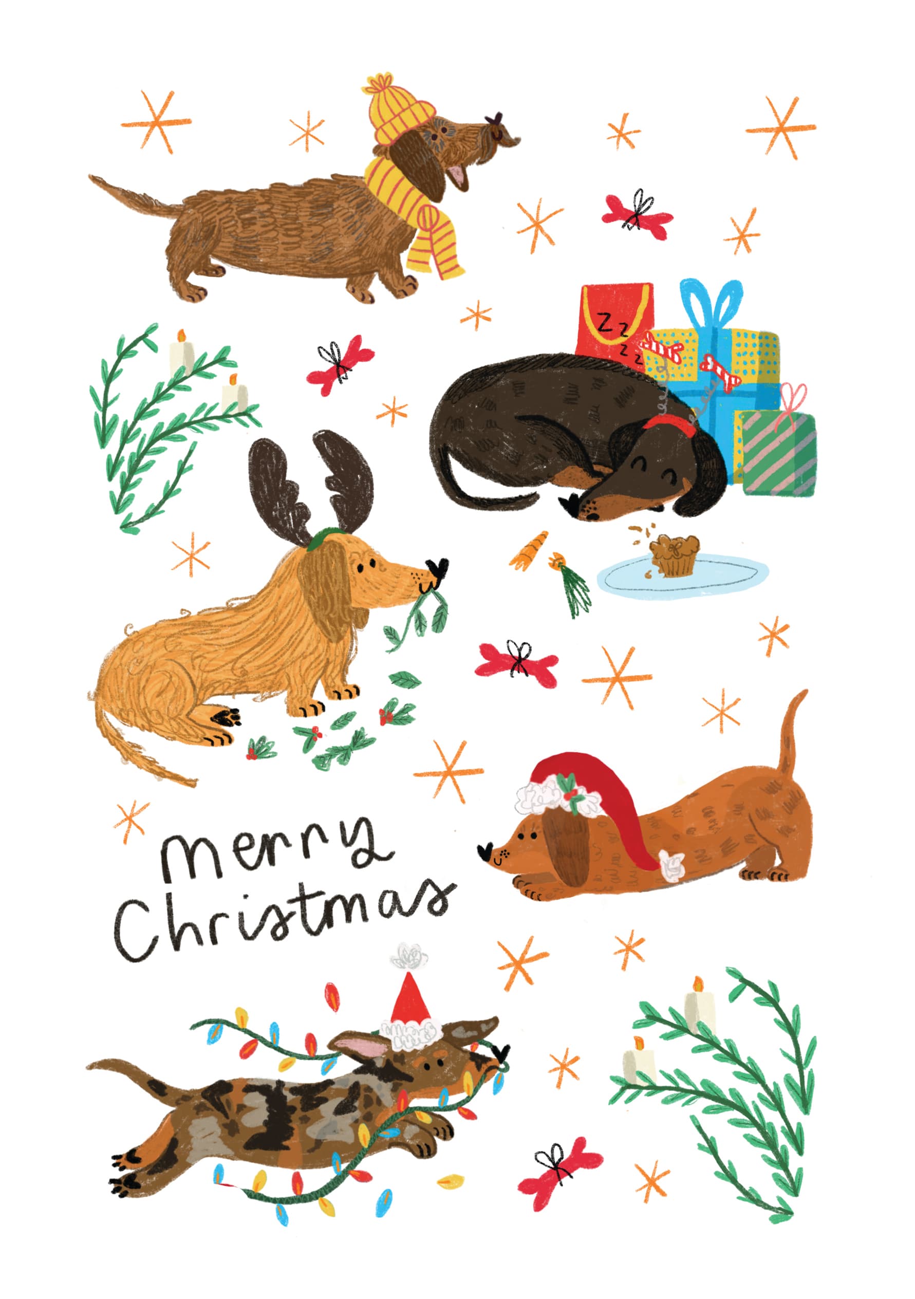 Festive Dachshunds Celebrating Christmas Cheer