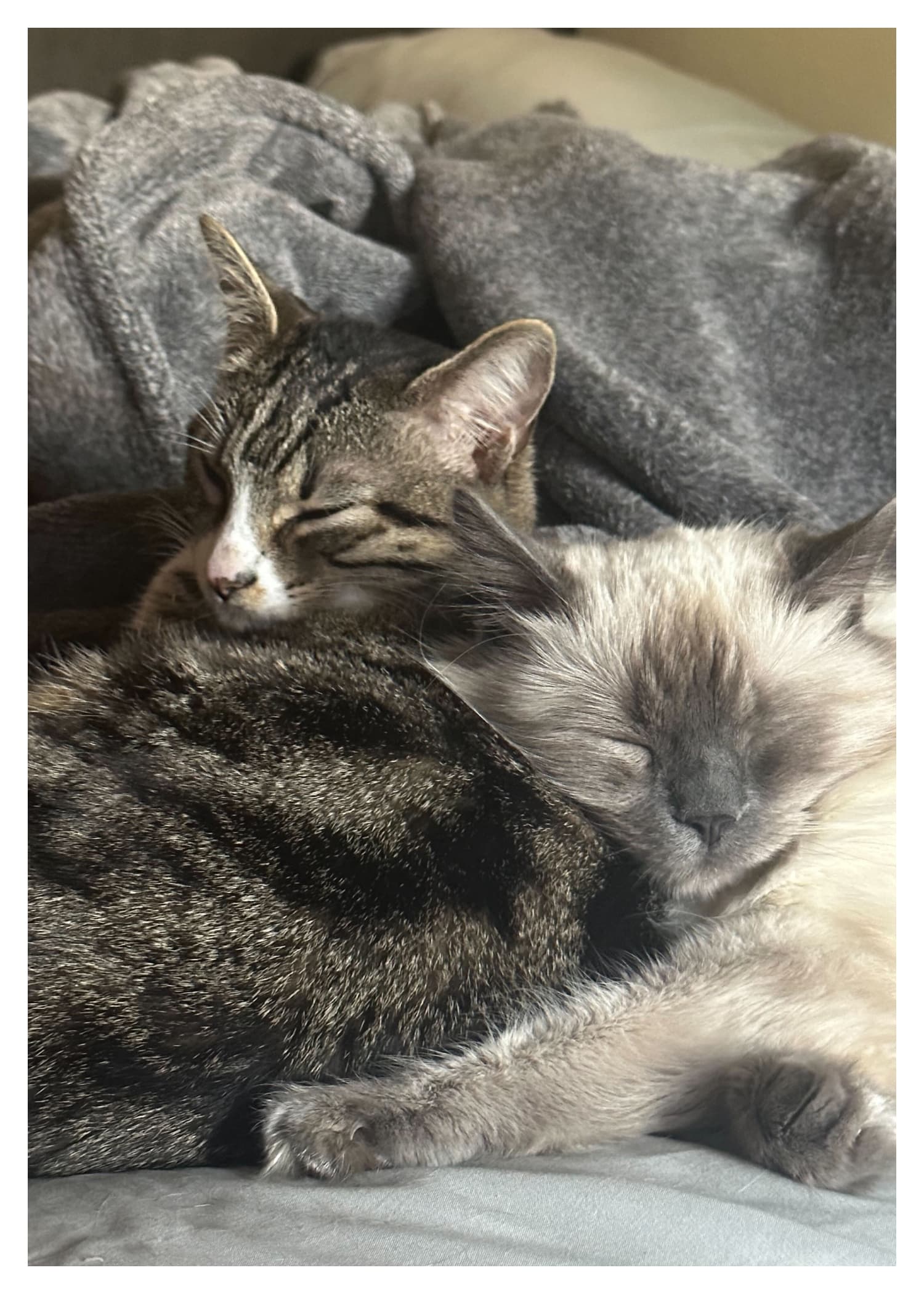 Your creation mockup 7