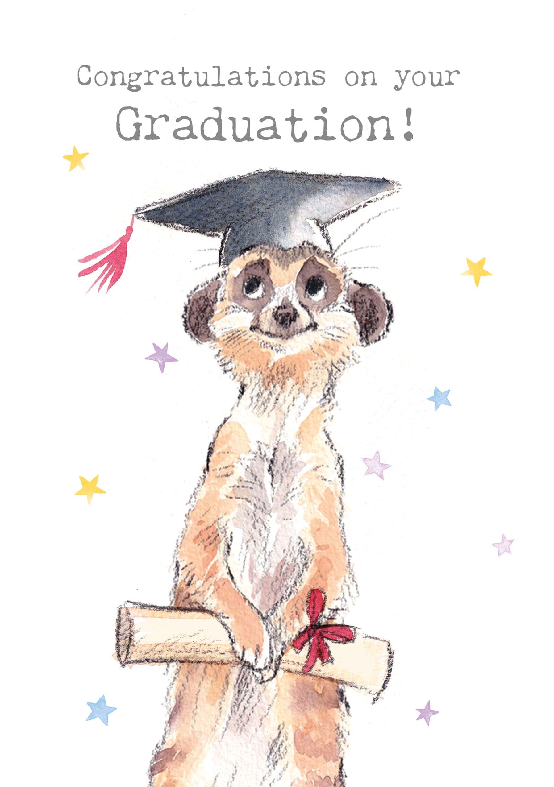 Congratulations Meerkat Graduation Card