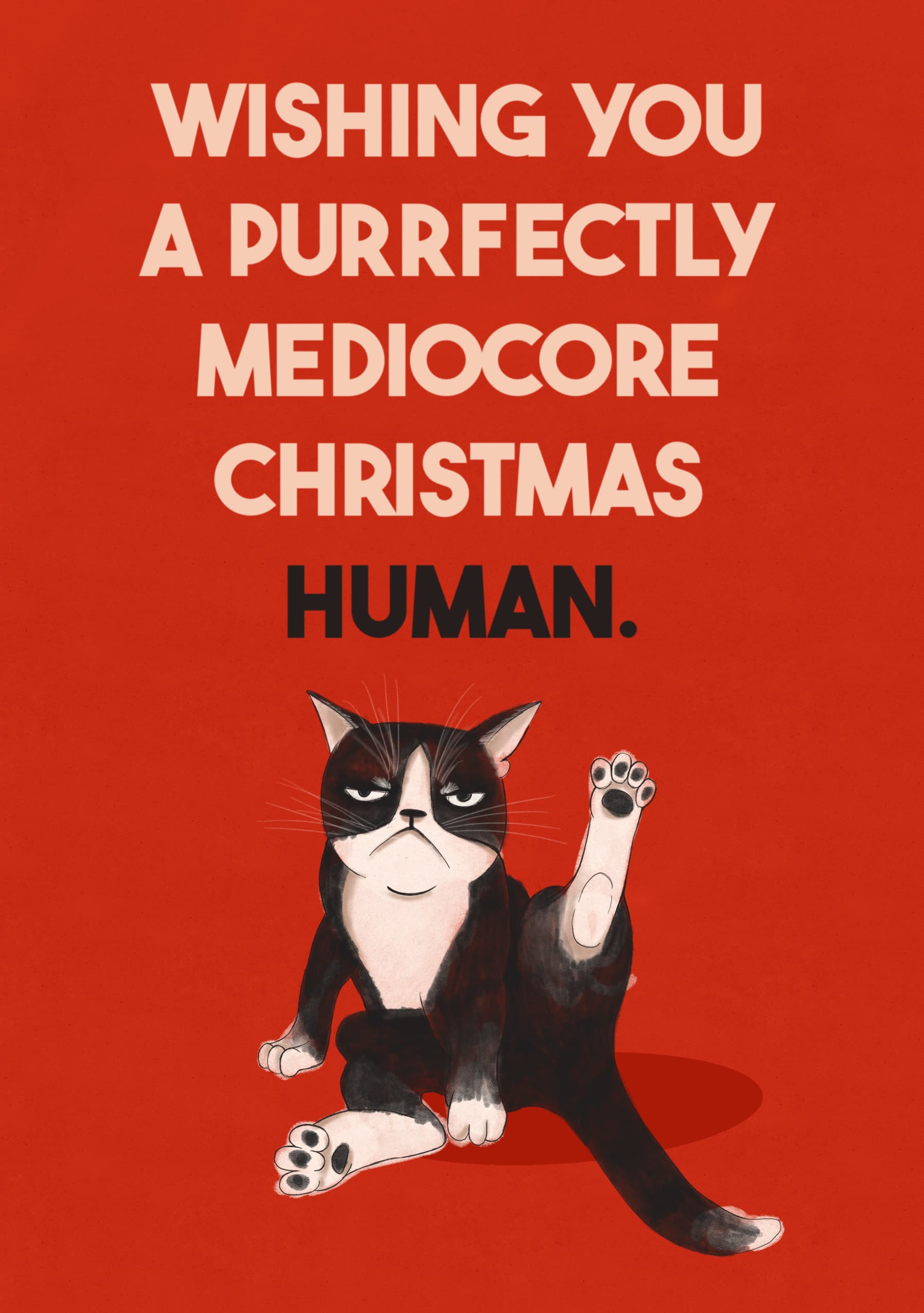 Purrfectly Mediocre Christmas