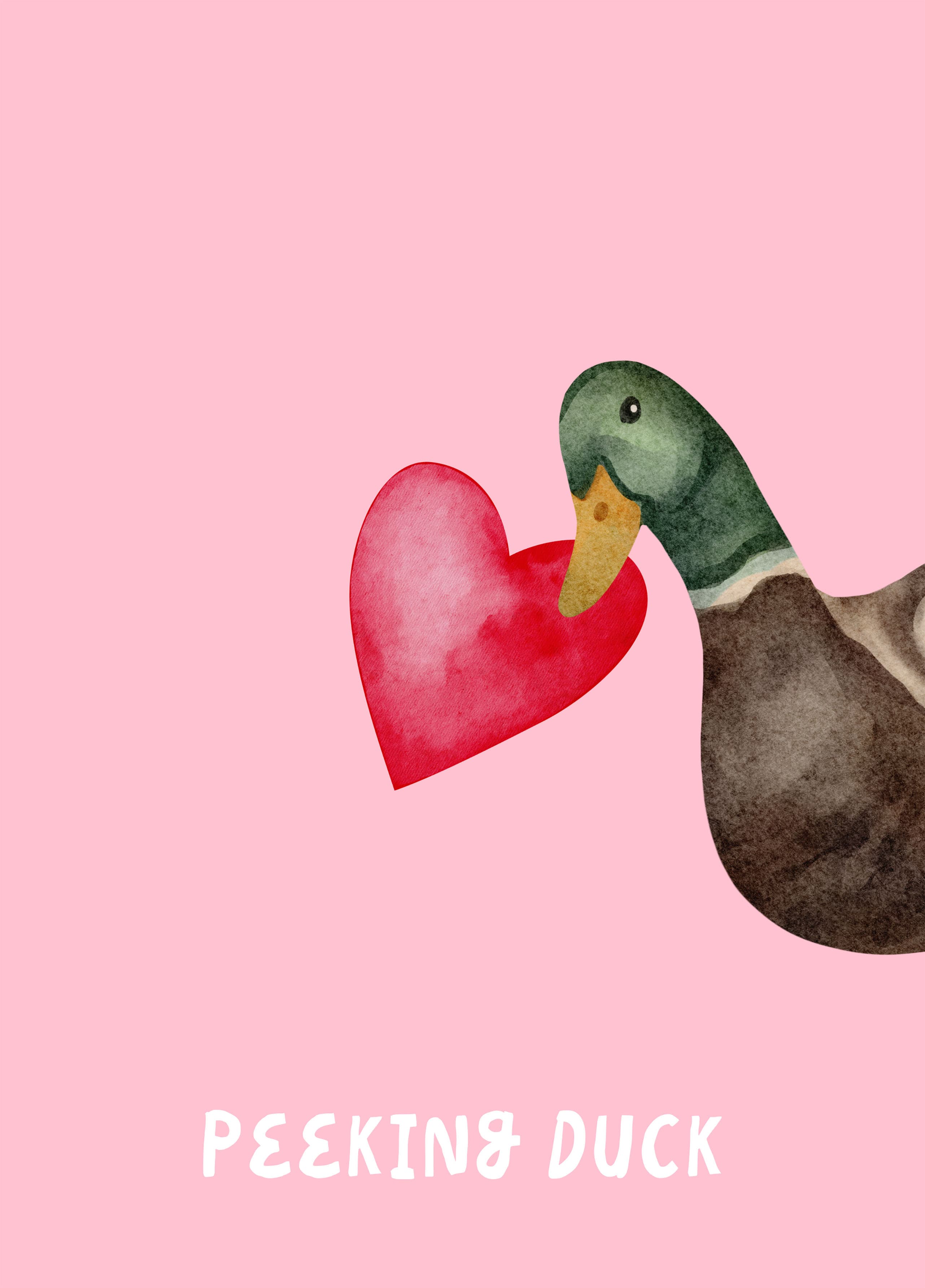 Peeking Duck Love