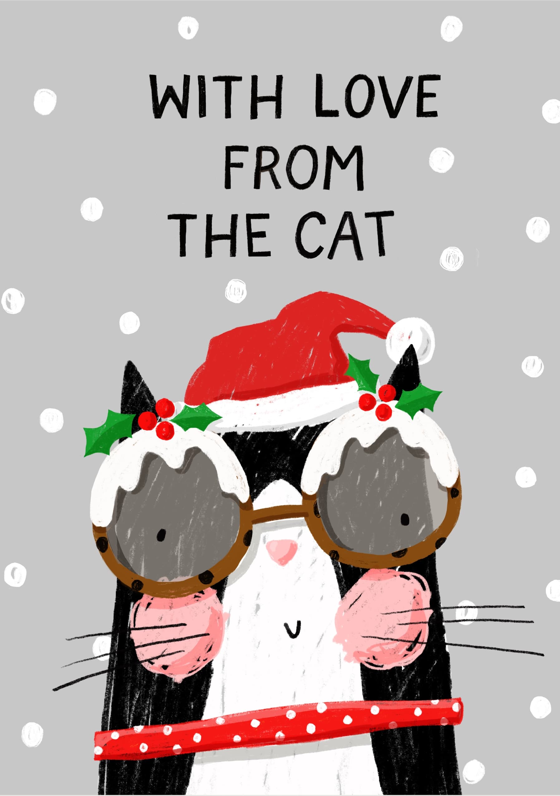 With Love from the Cat