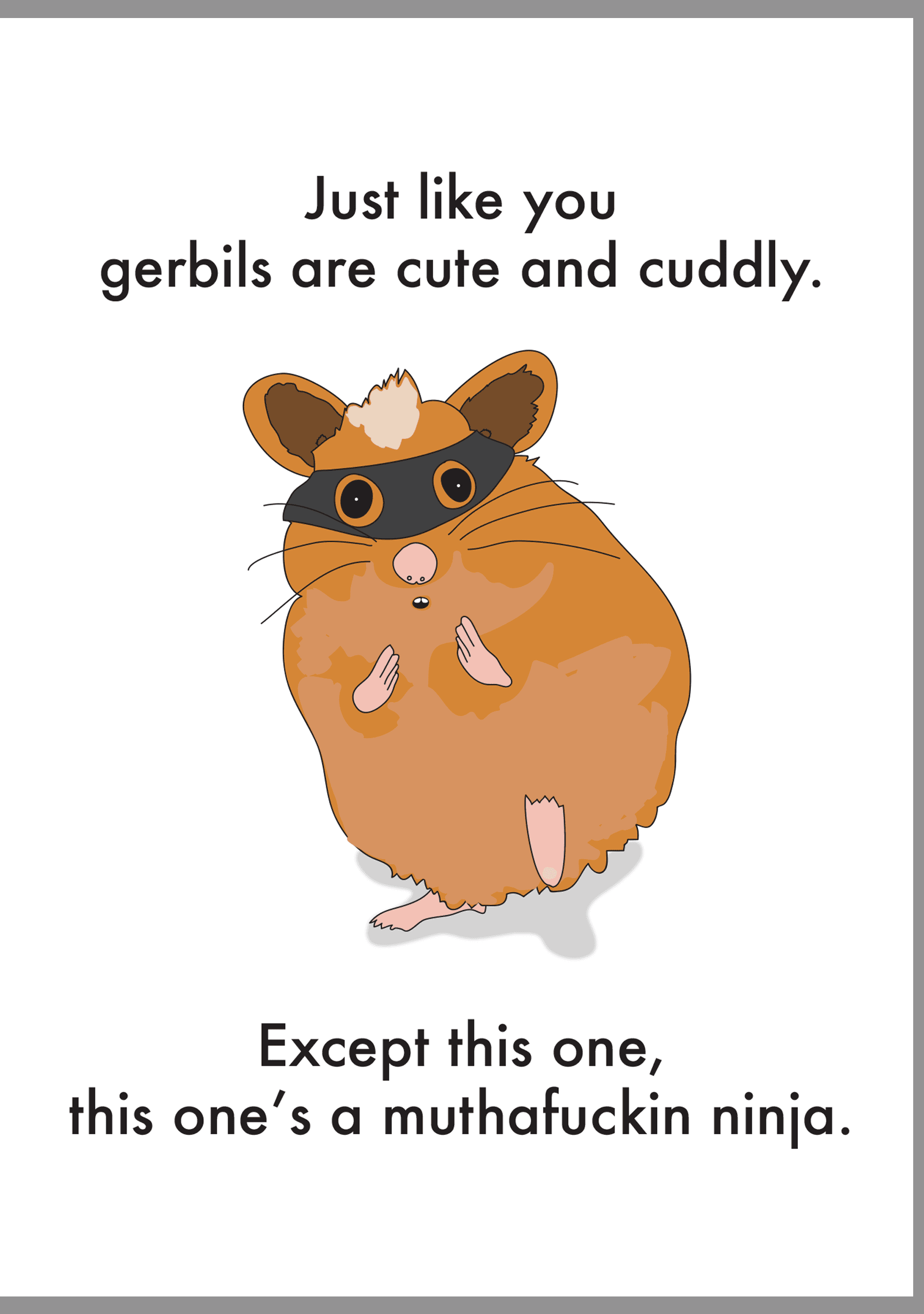 Ninja Gerbil Birthday Card