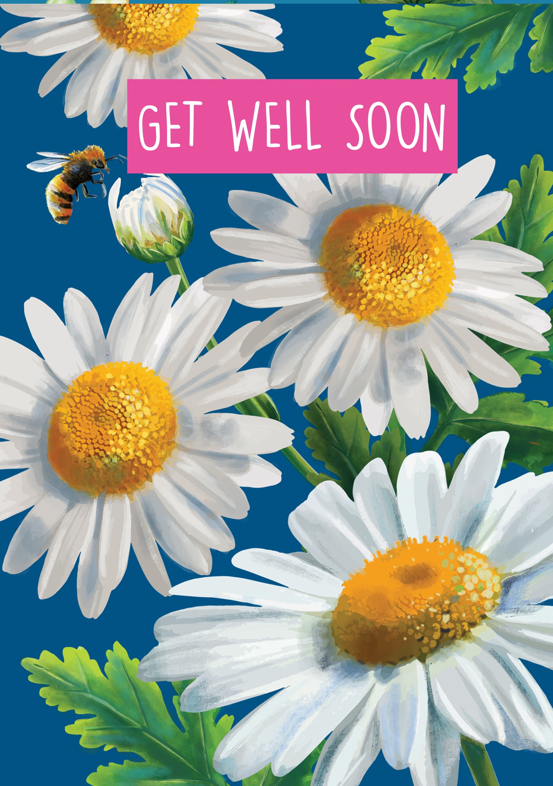Daisies & Bee Get Well
