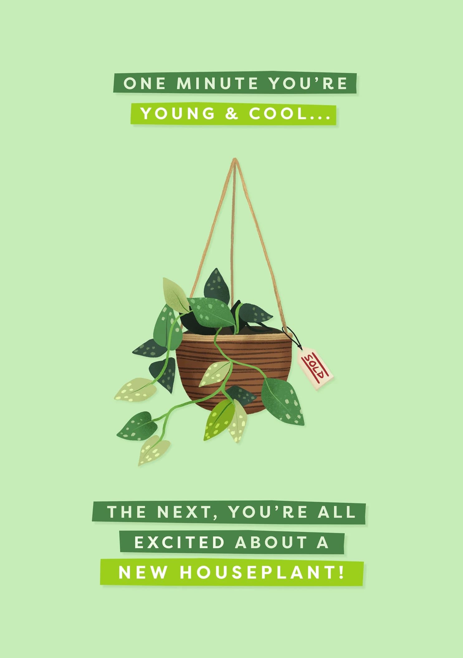 One Minute You're Young and Cool