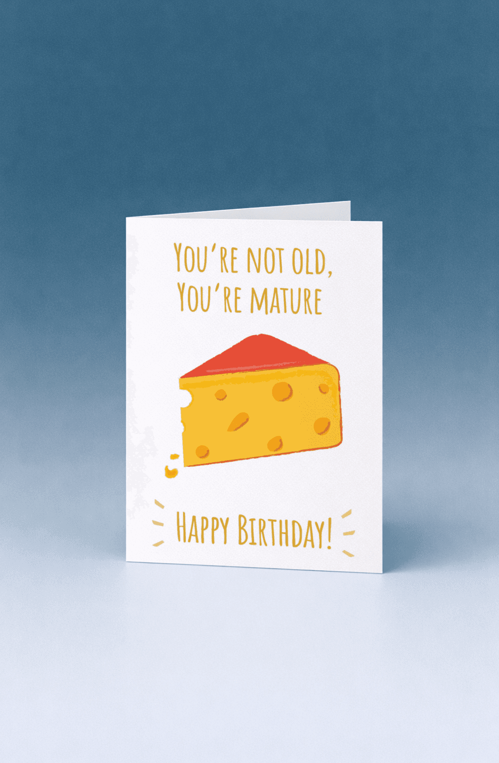 You're Not Old, You're Mature mockup 5
