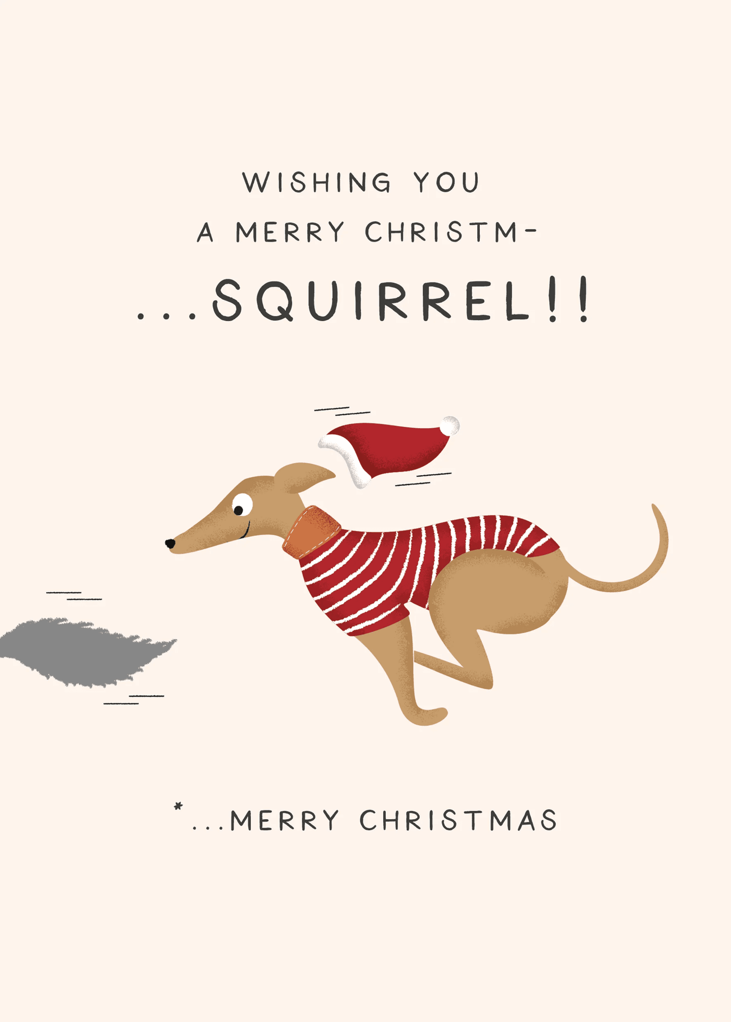Merry Christmas - Squirrel