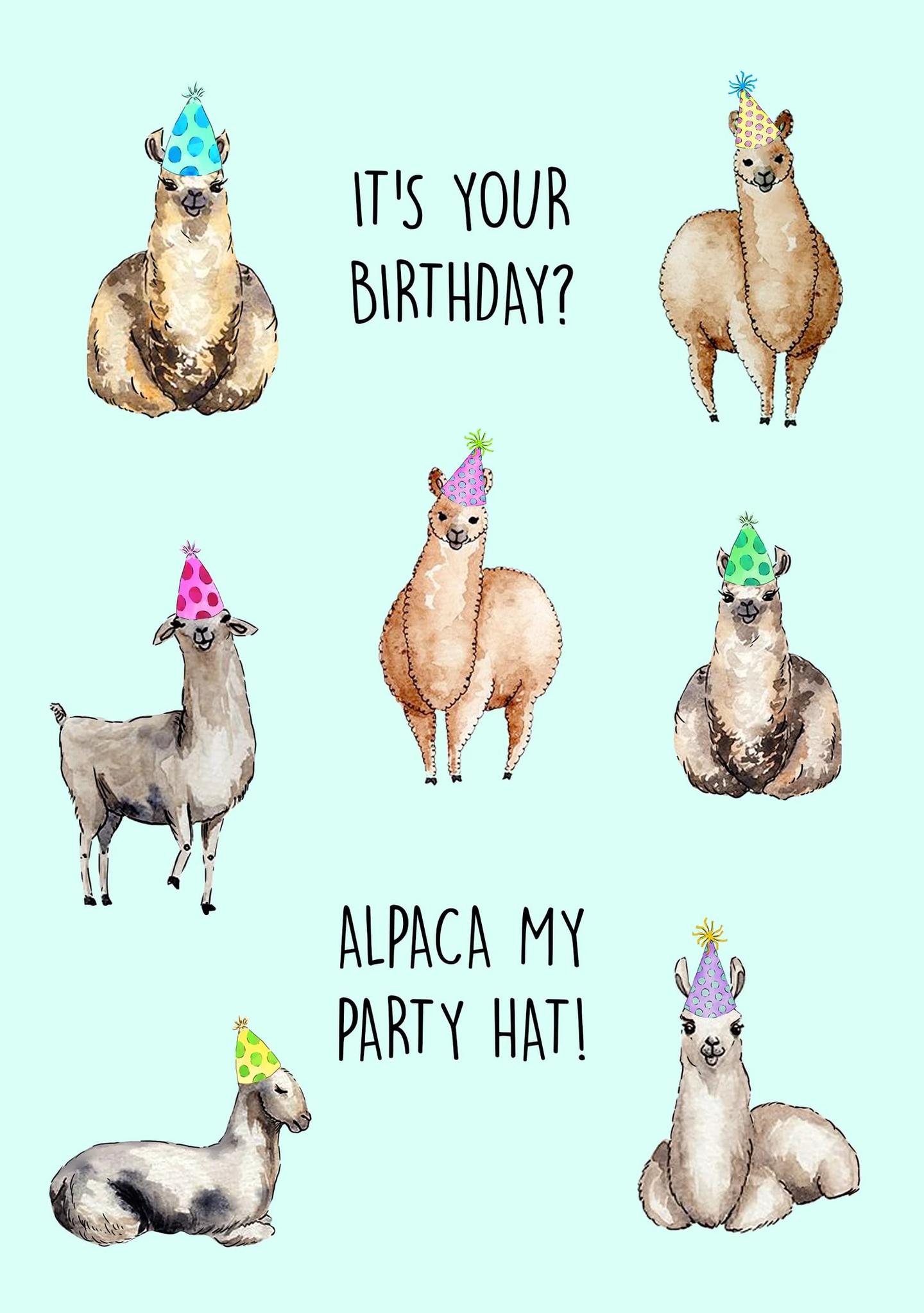 Alpaca My Party Hat!