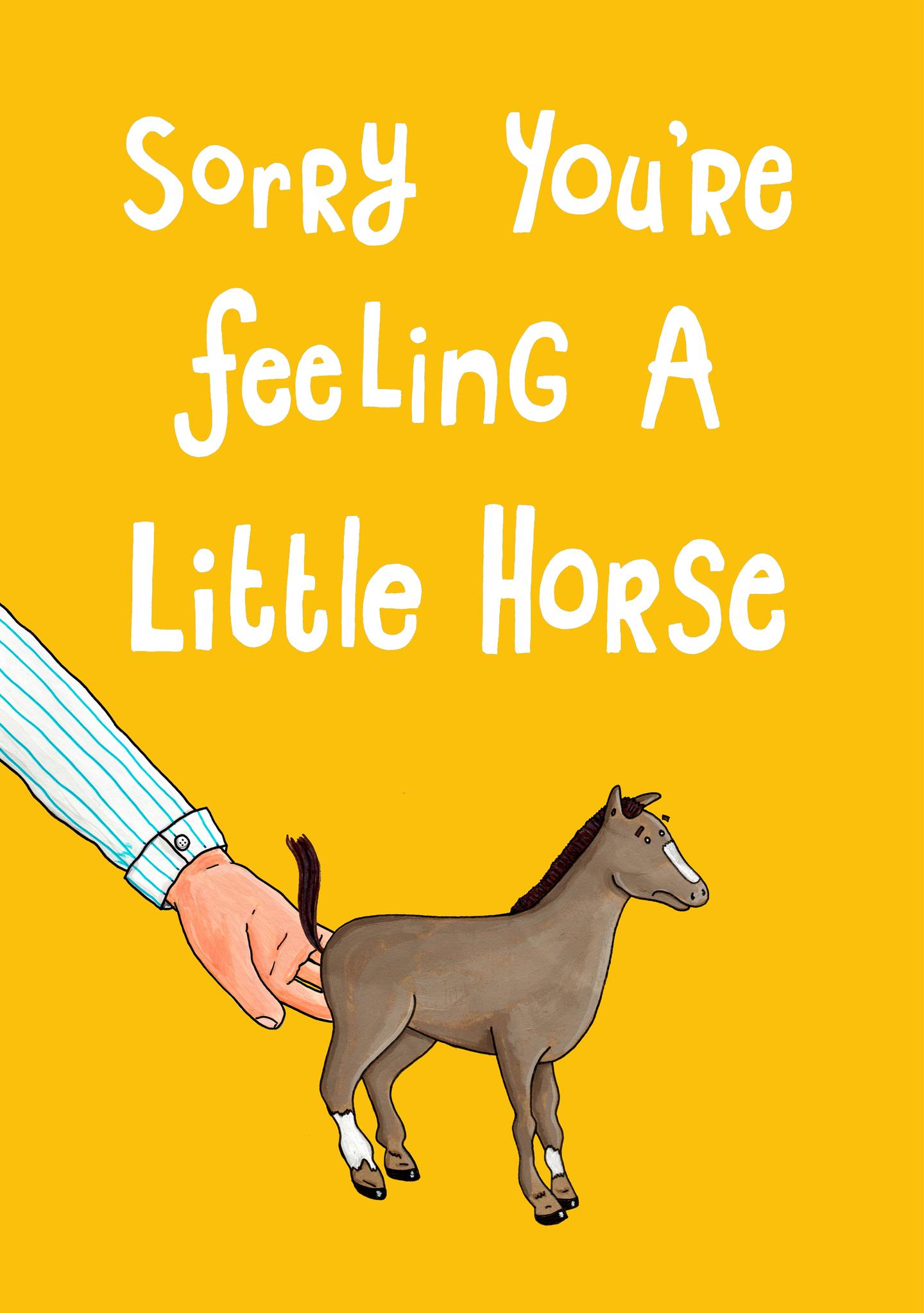 Little Horse Get Well