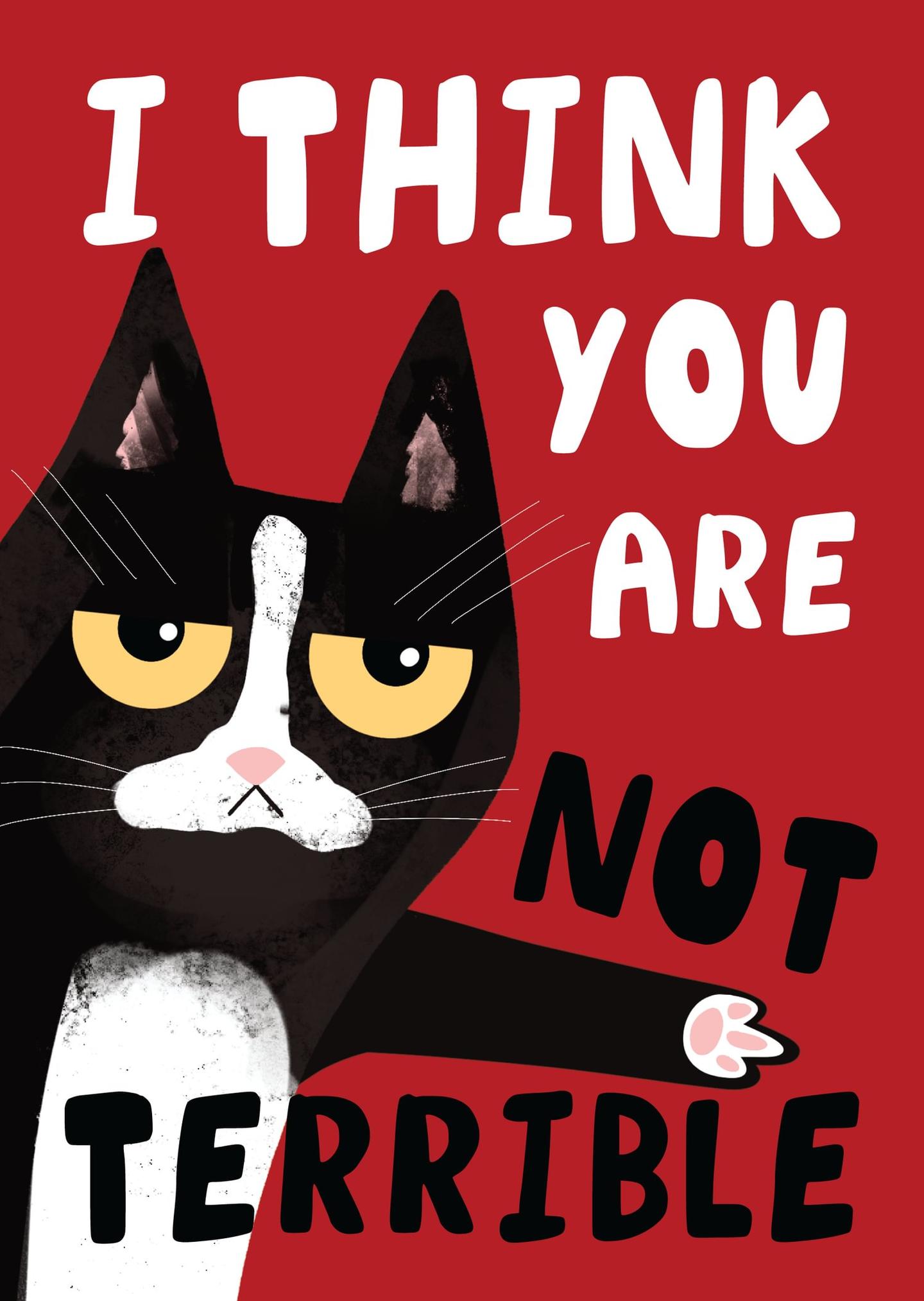 I Think You Are Not Terrible