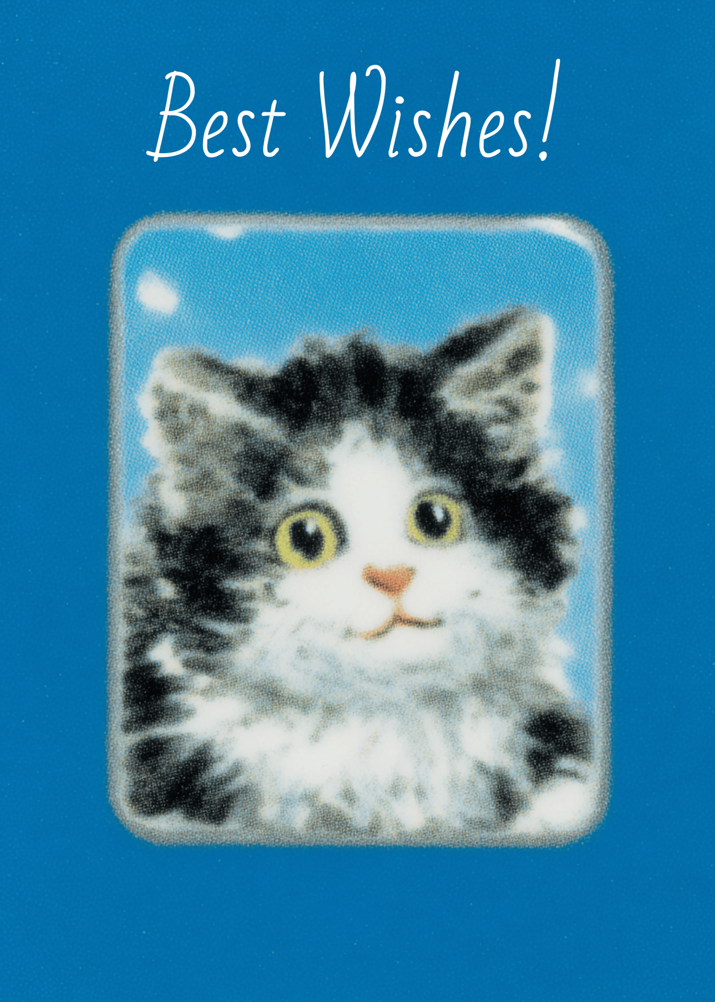 Best Wishes Cat Card