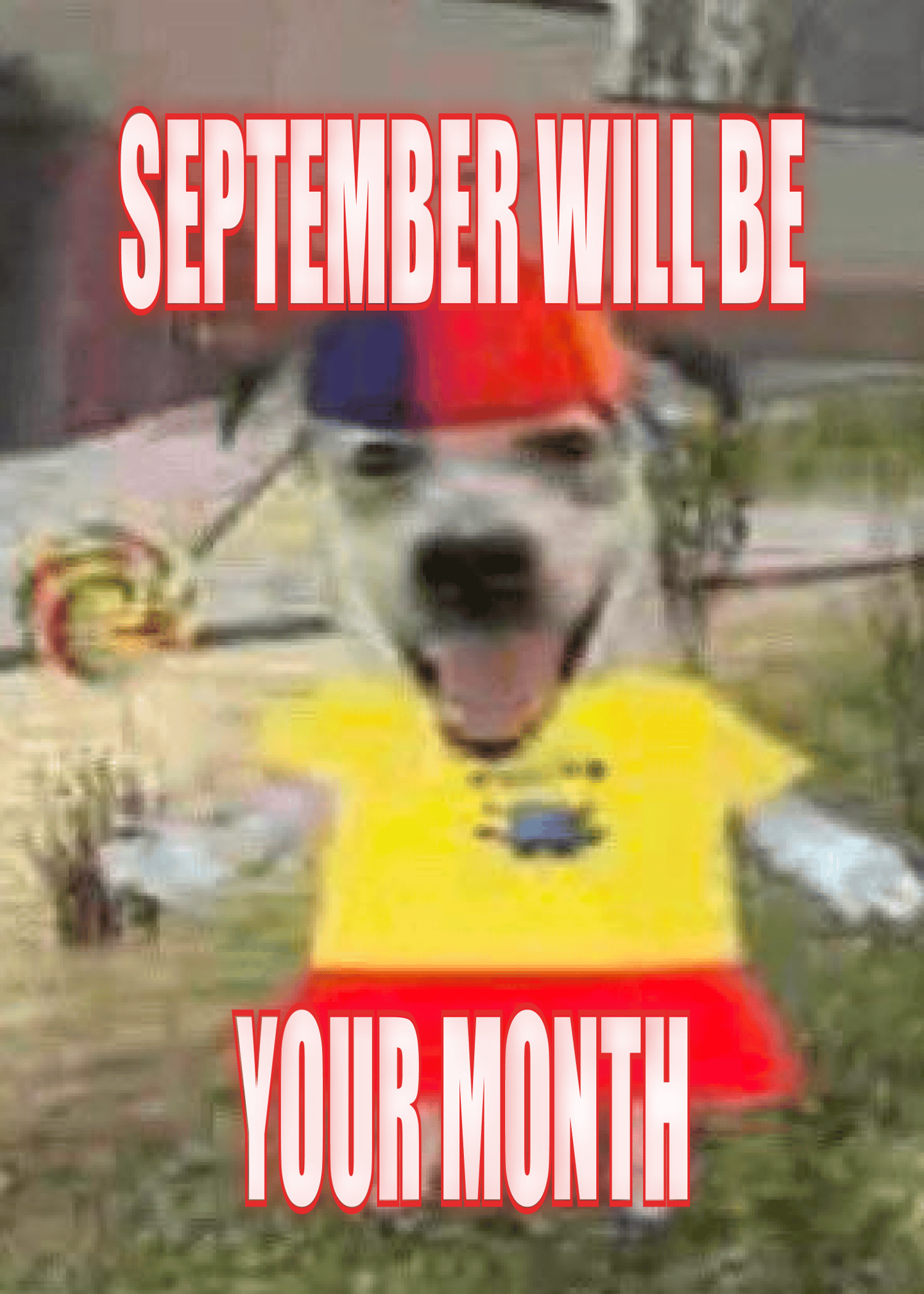 September Motivation Dog Card