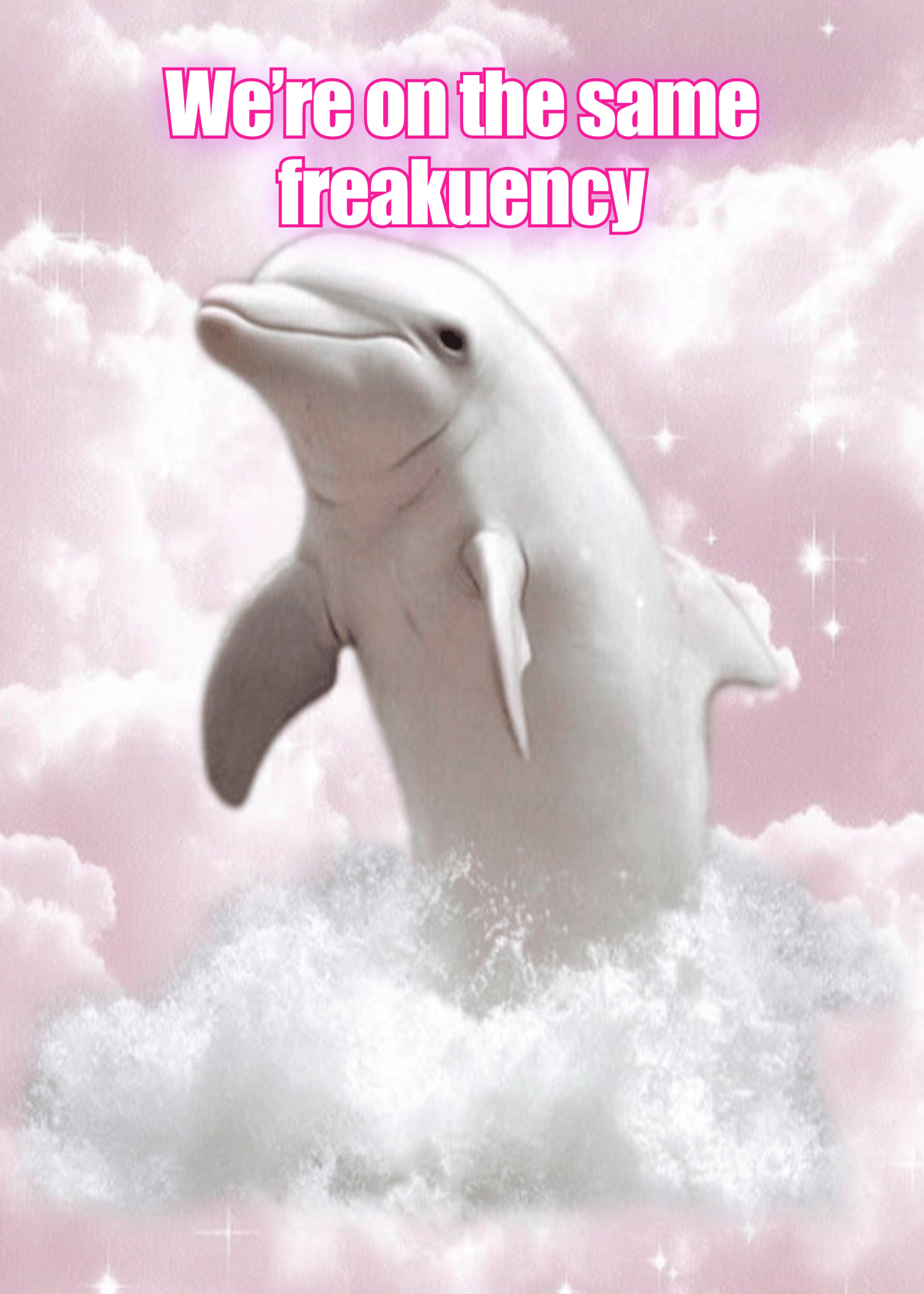 Same Freakuency Dolphin Card