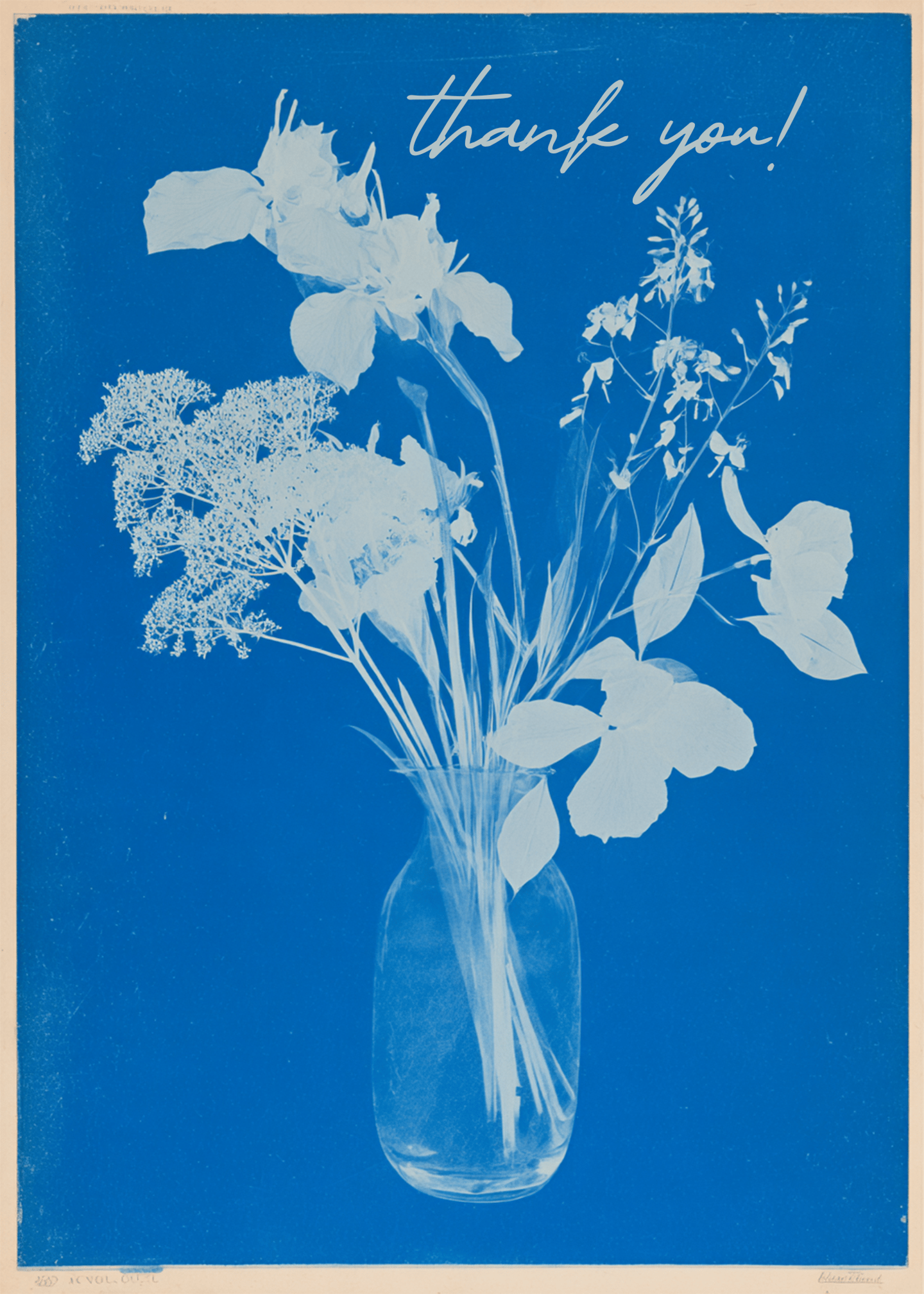 Floral Thank You Delight