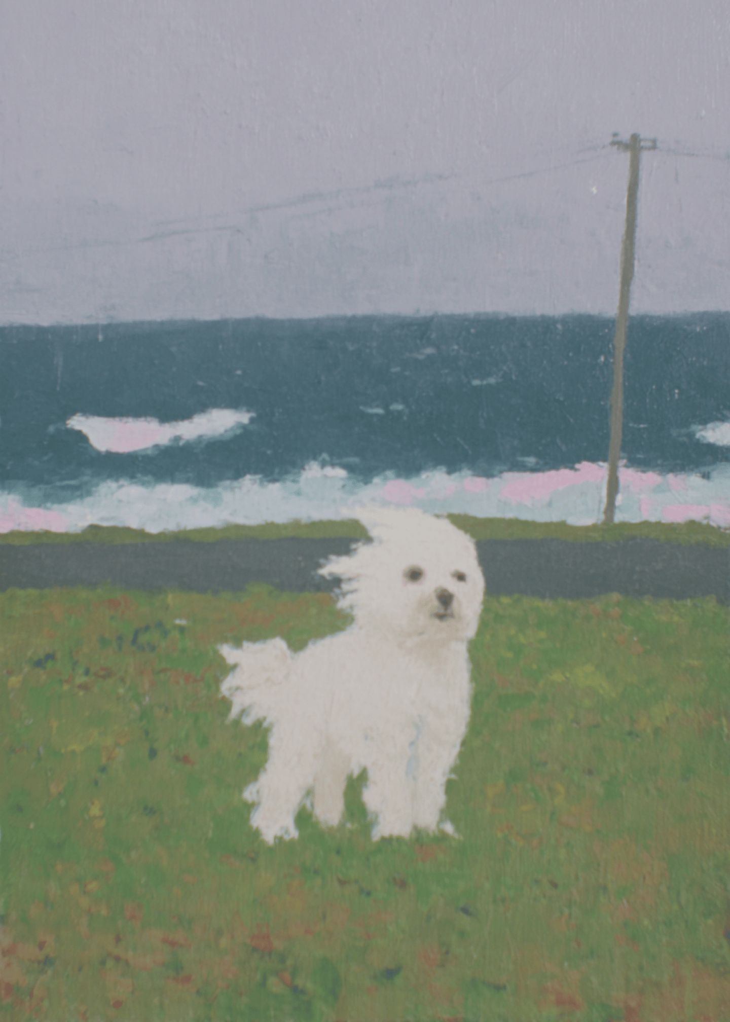 Cute Windy Day Pup