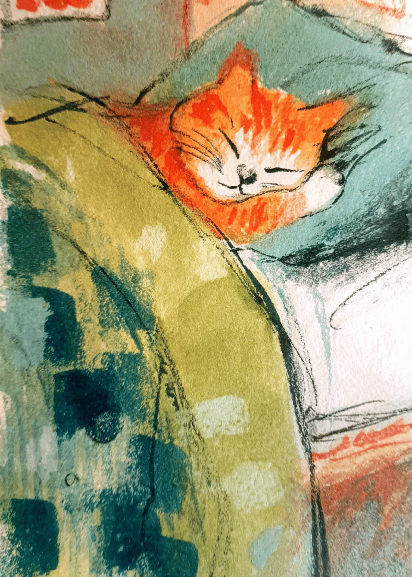 Cozy Cat Nap Greetings
