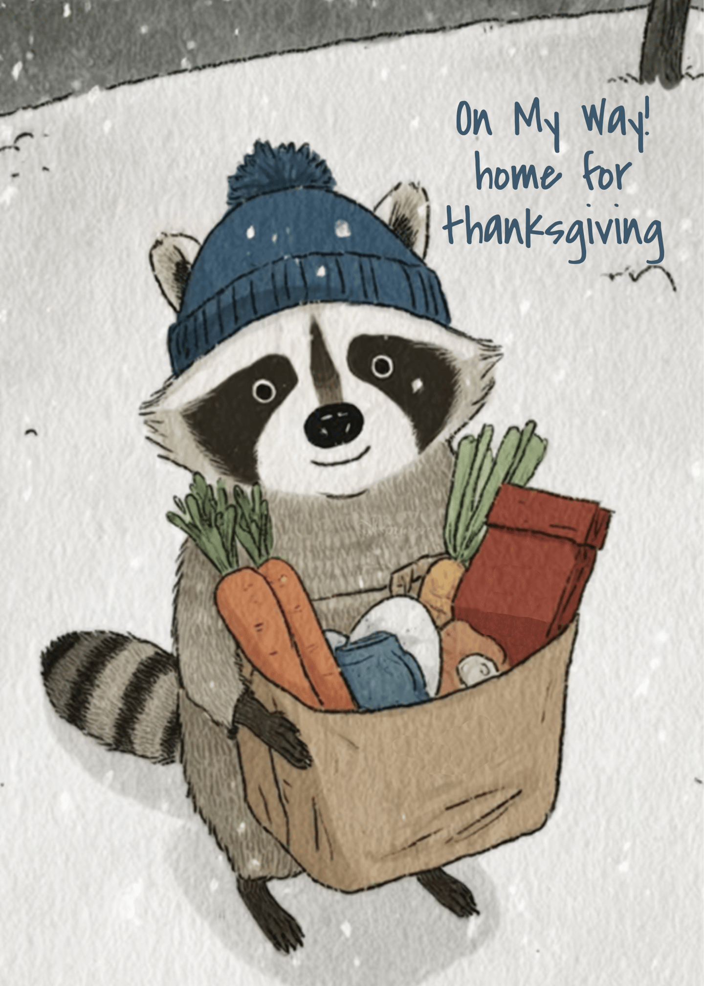 Raccoon's Thanksgiving Journey