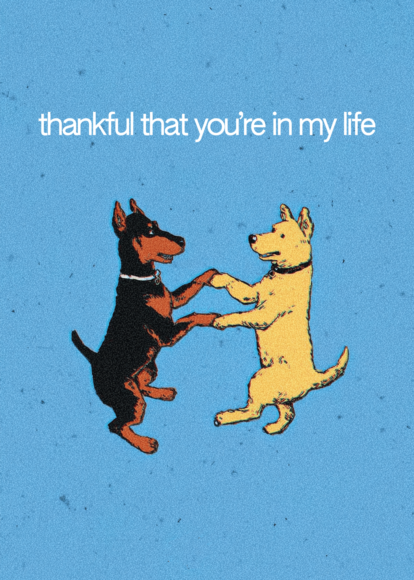 Paws to Heart: Thankful Moments