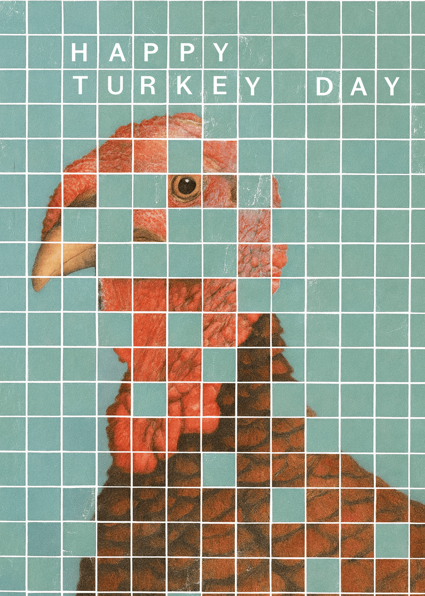 Happy Turkey Day Greetings