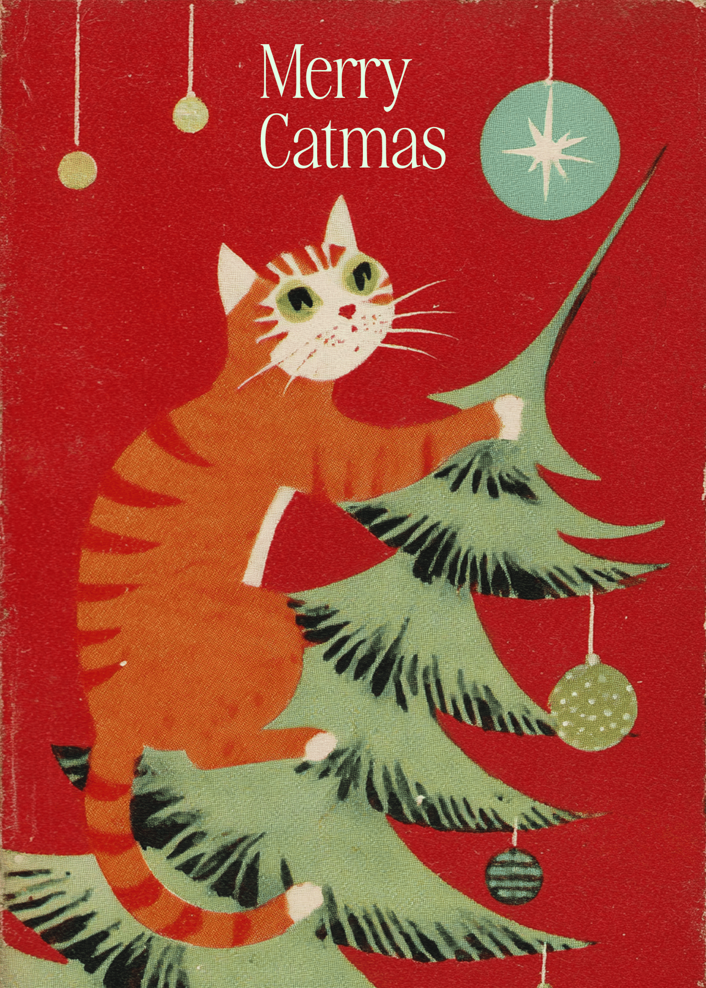 Merry Catmas Holiday Card