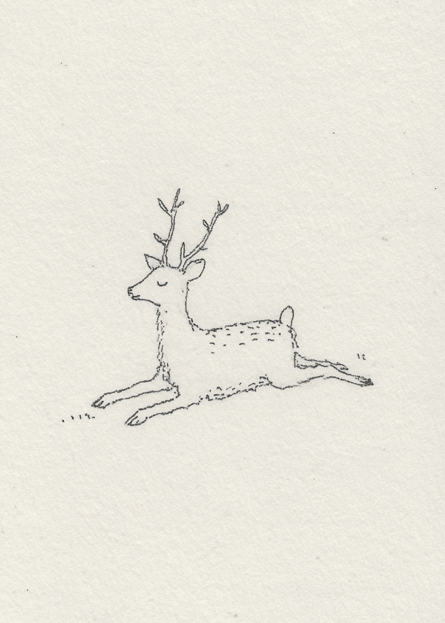 Peaceful Deer Illustration Card