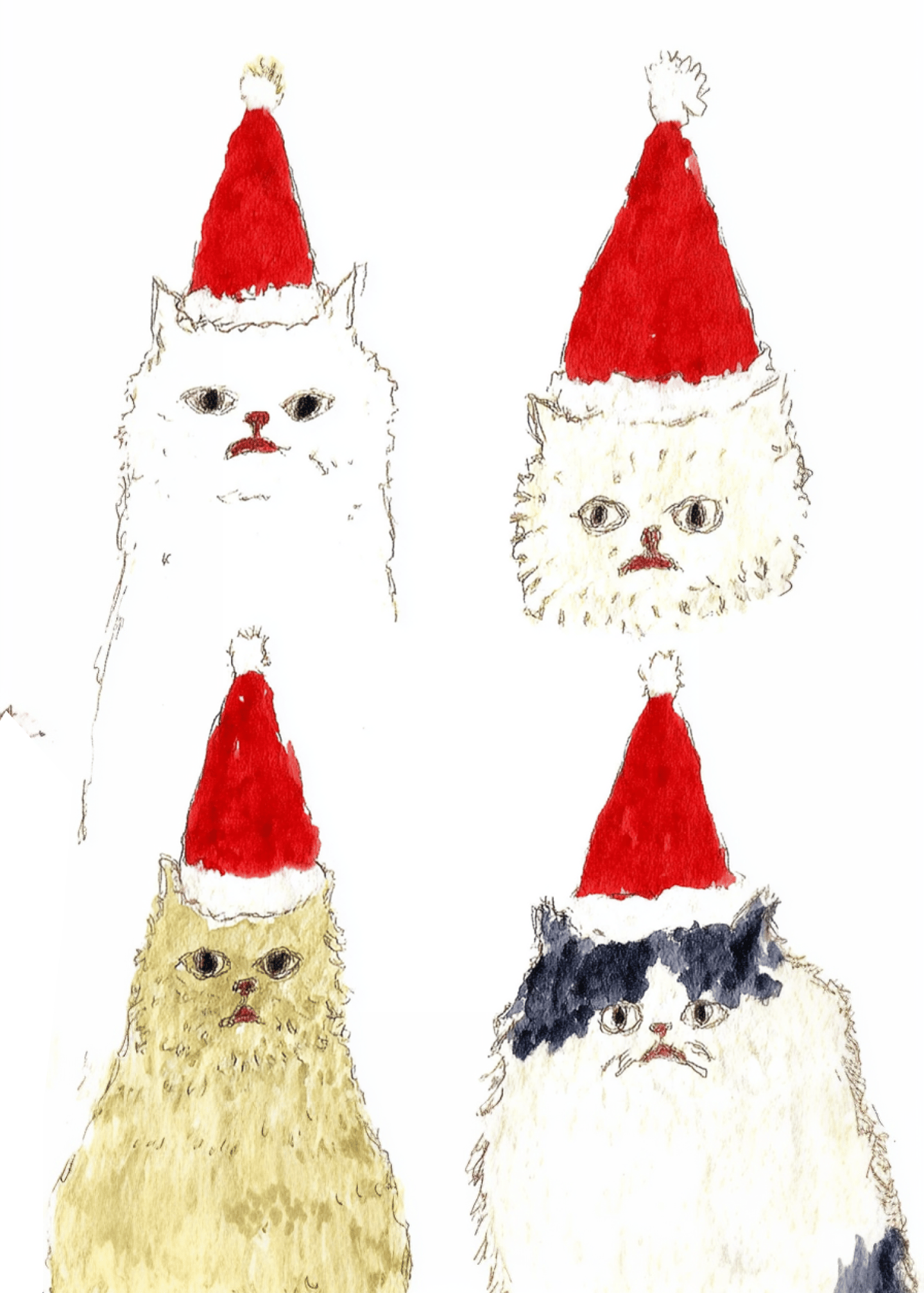 Festive Cats Christmas Greetings