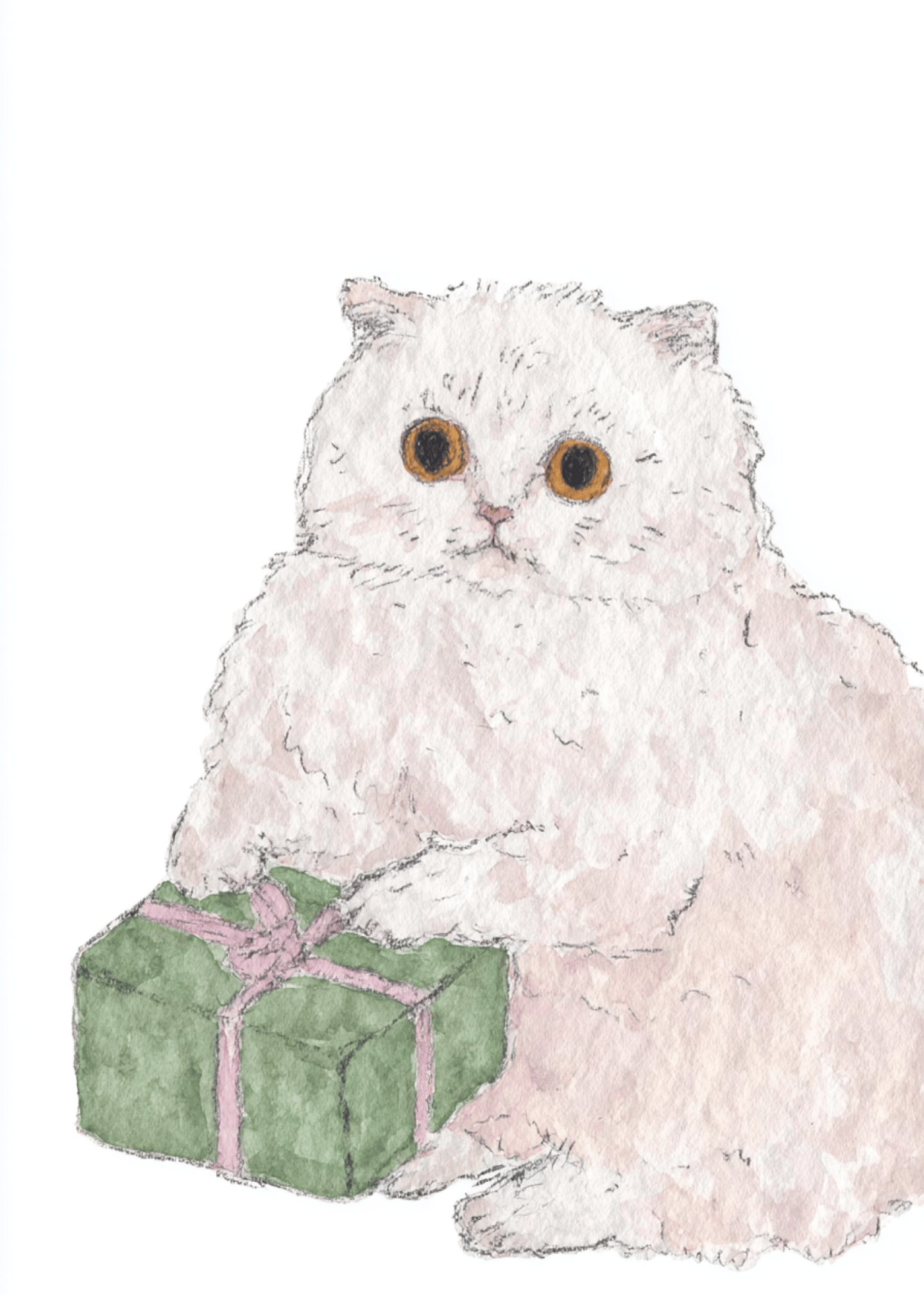Furry Friend Gift Surprise