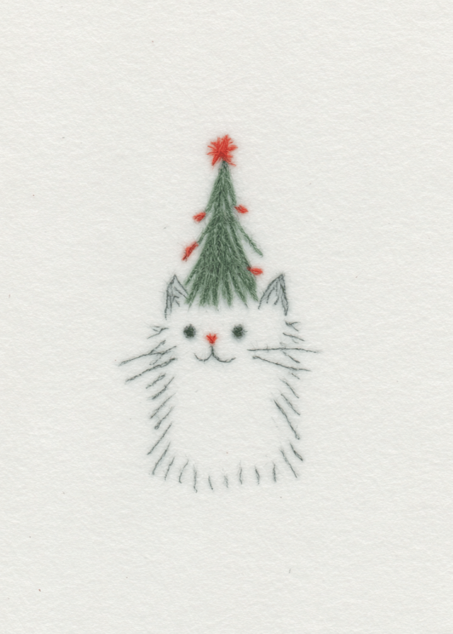 Festive Cat in a Christmas Hat