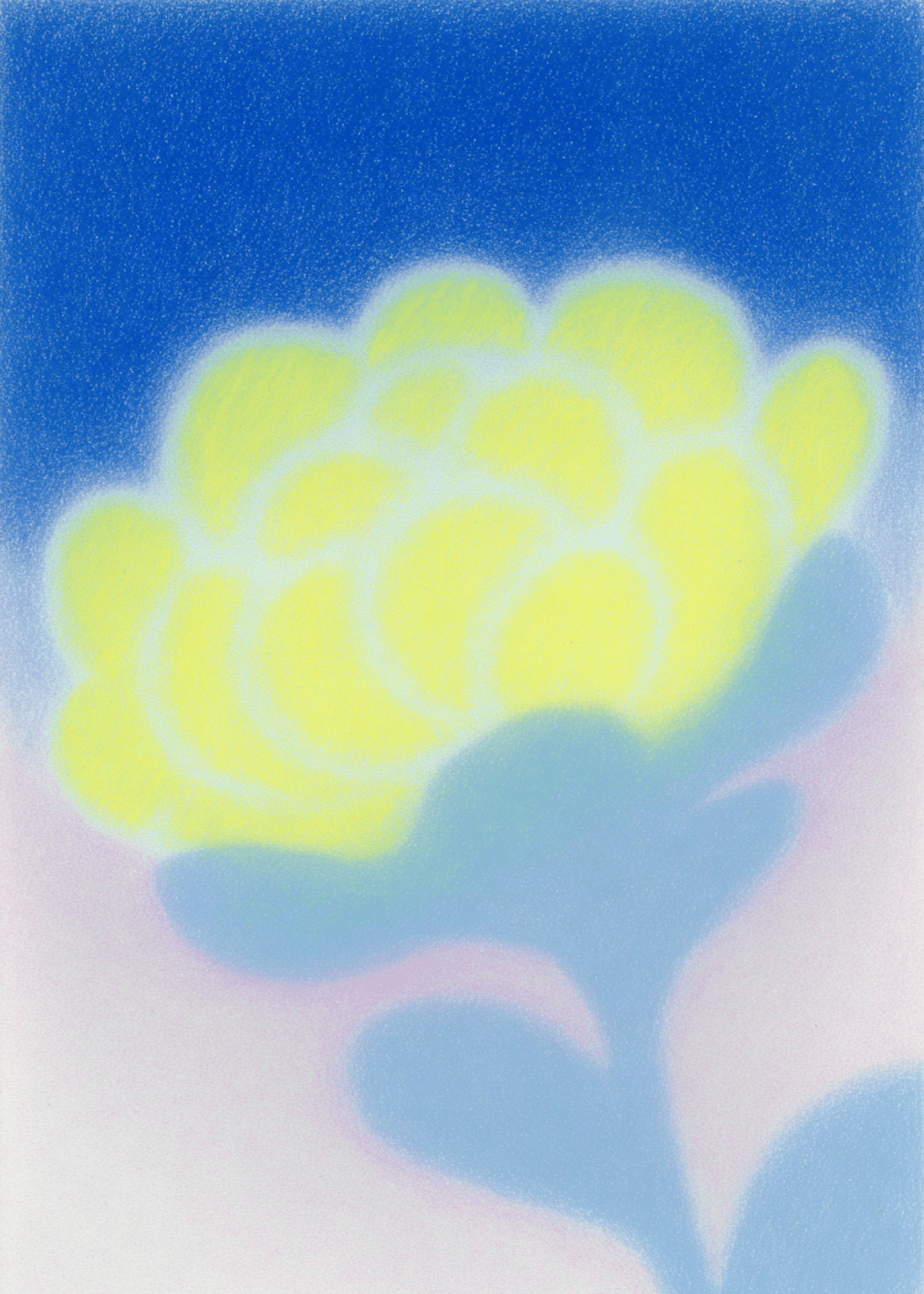 Soft Blooming Greetings