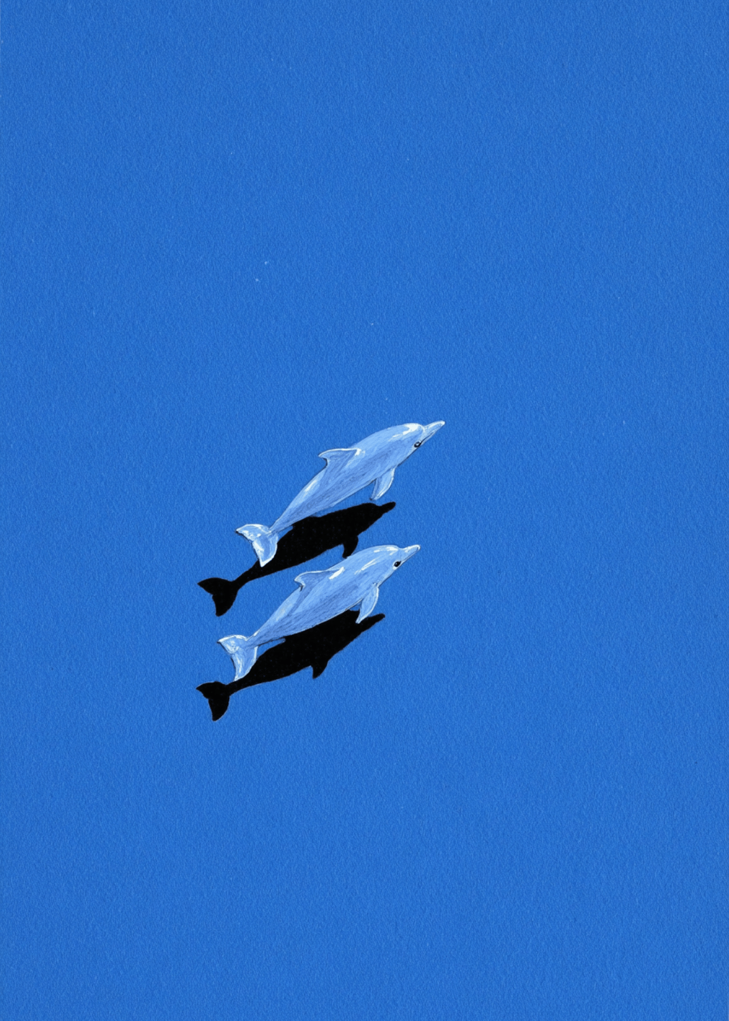 Ocean Blue Dolphin Duo