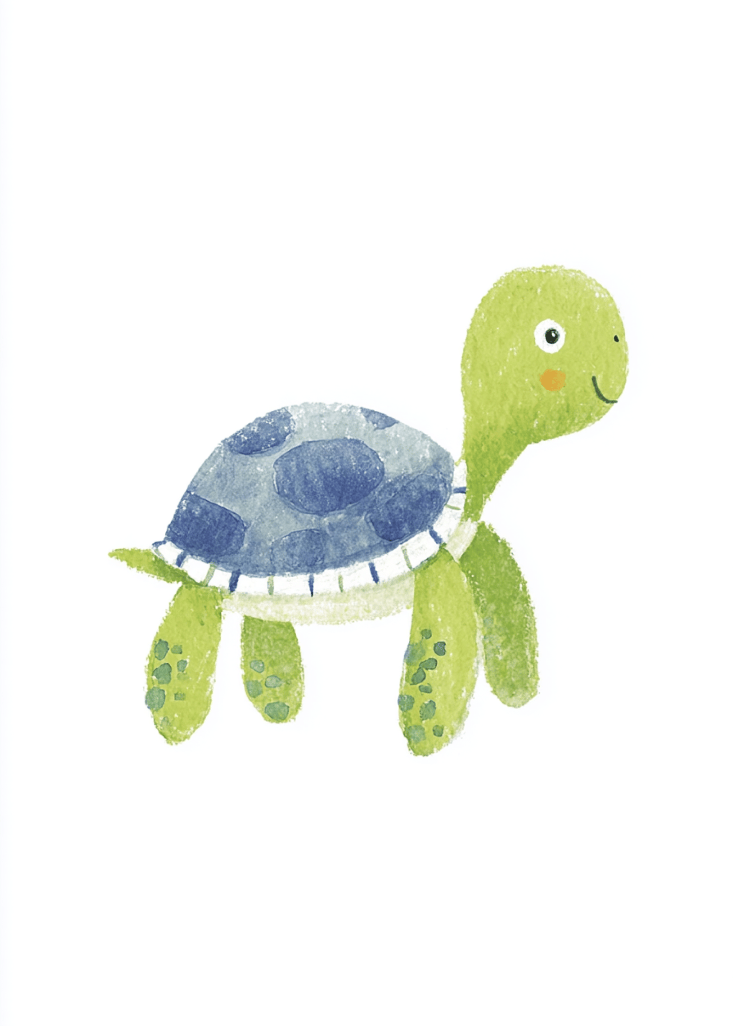 turtle floating