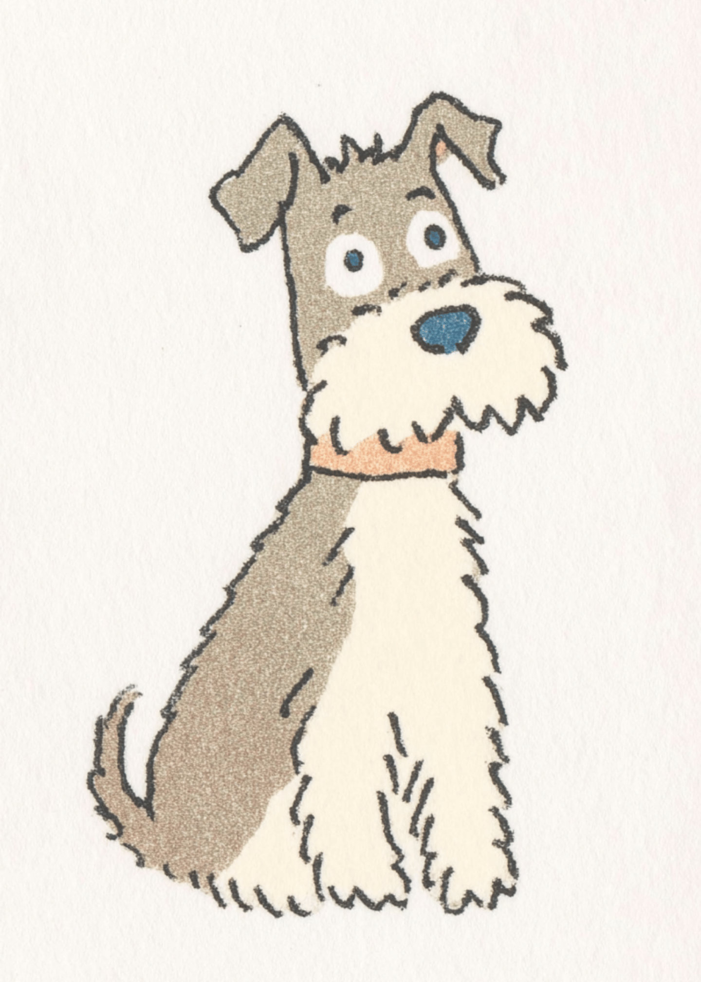 schnauzer sitting politely