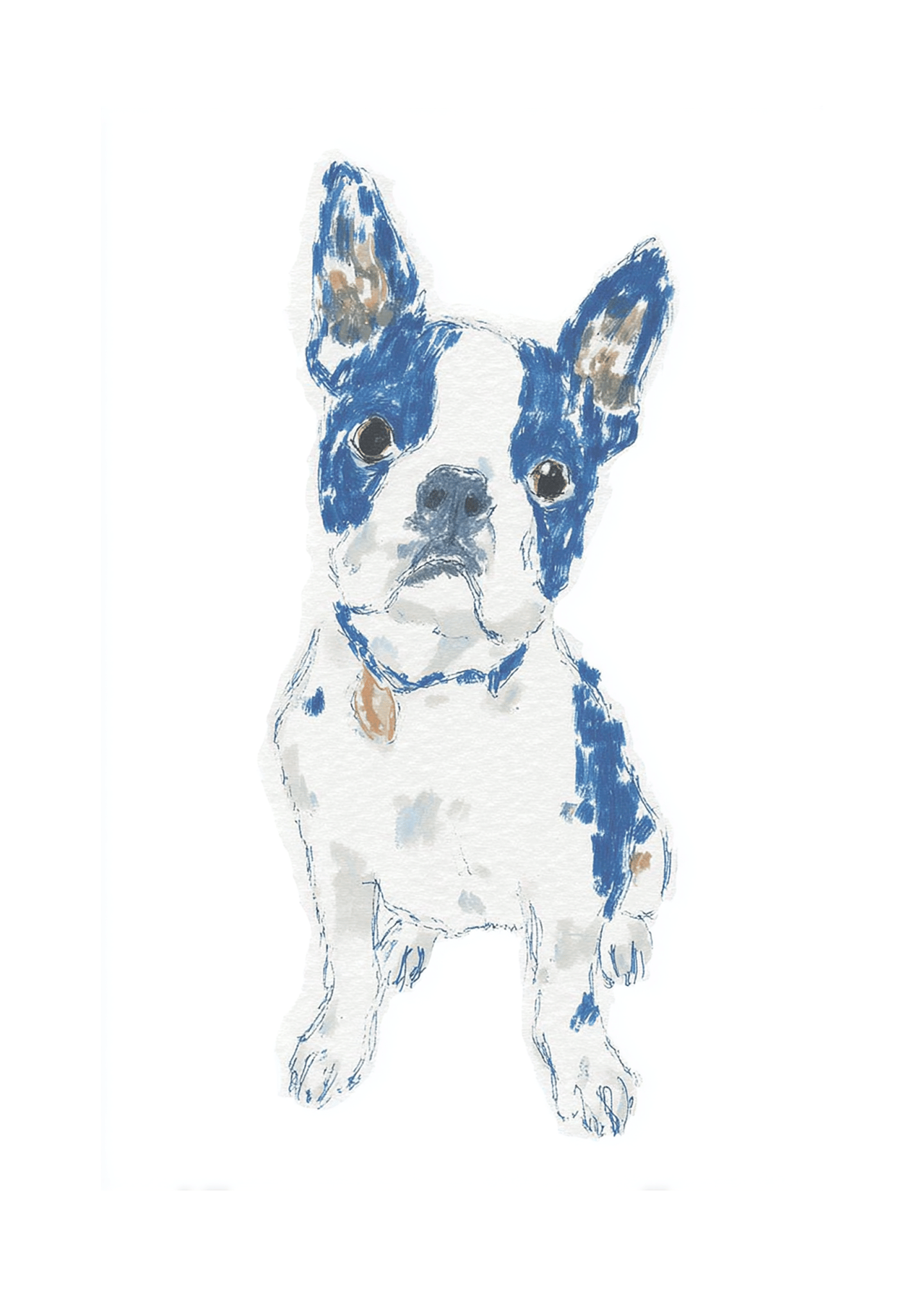 boston terrier sitting