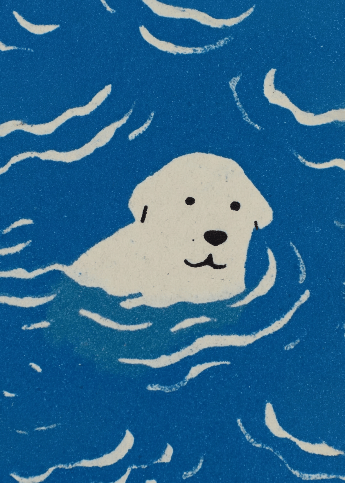 labrador in water