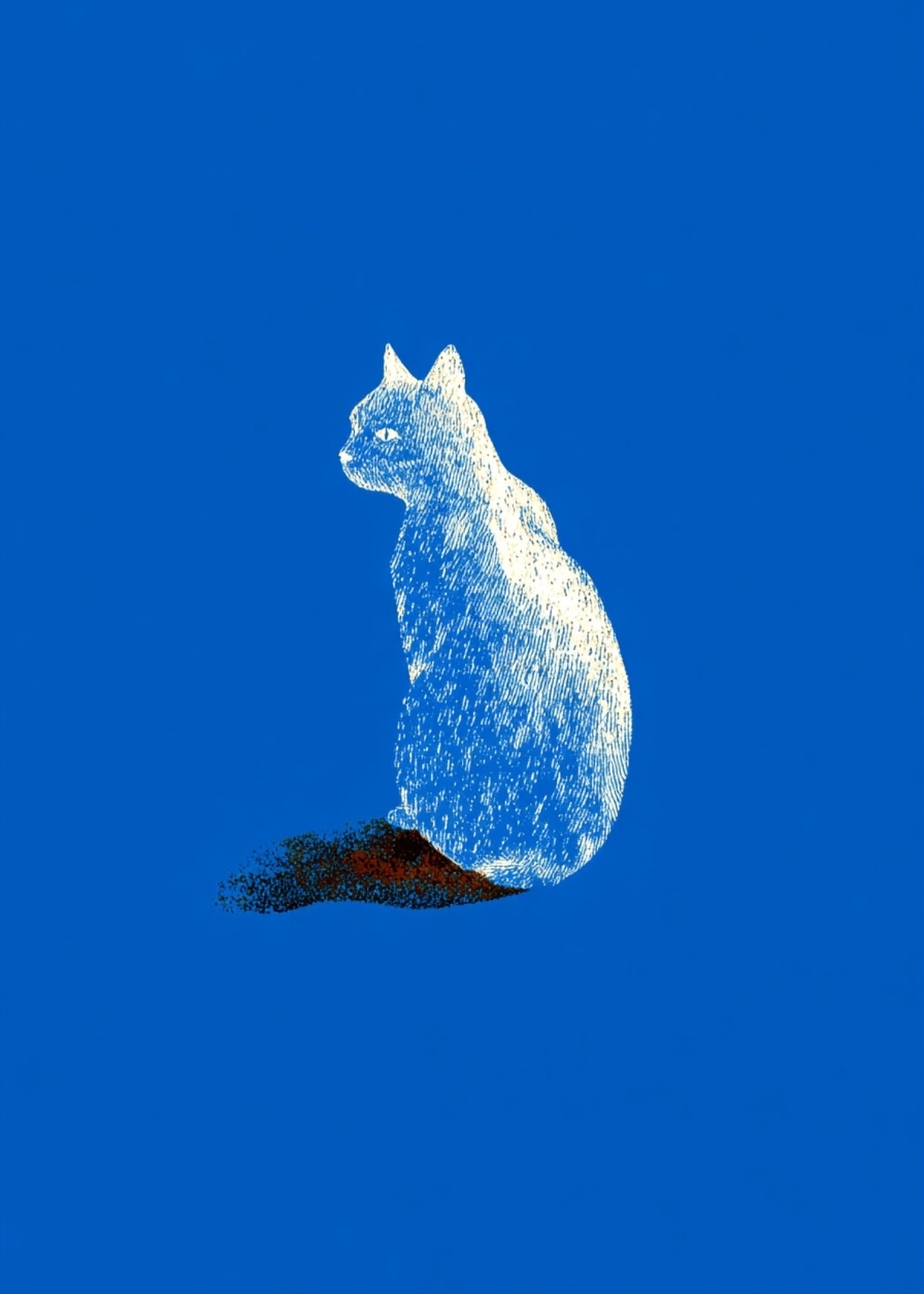 white cat sitting solemnly