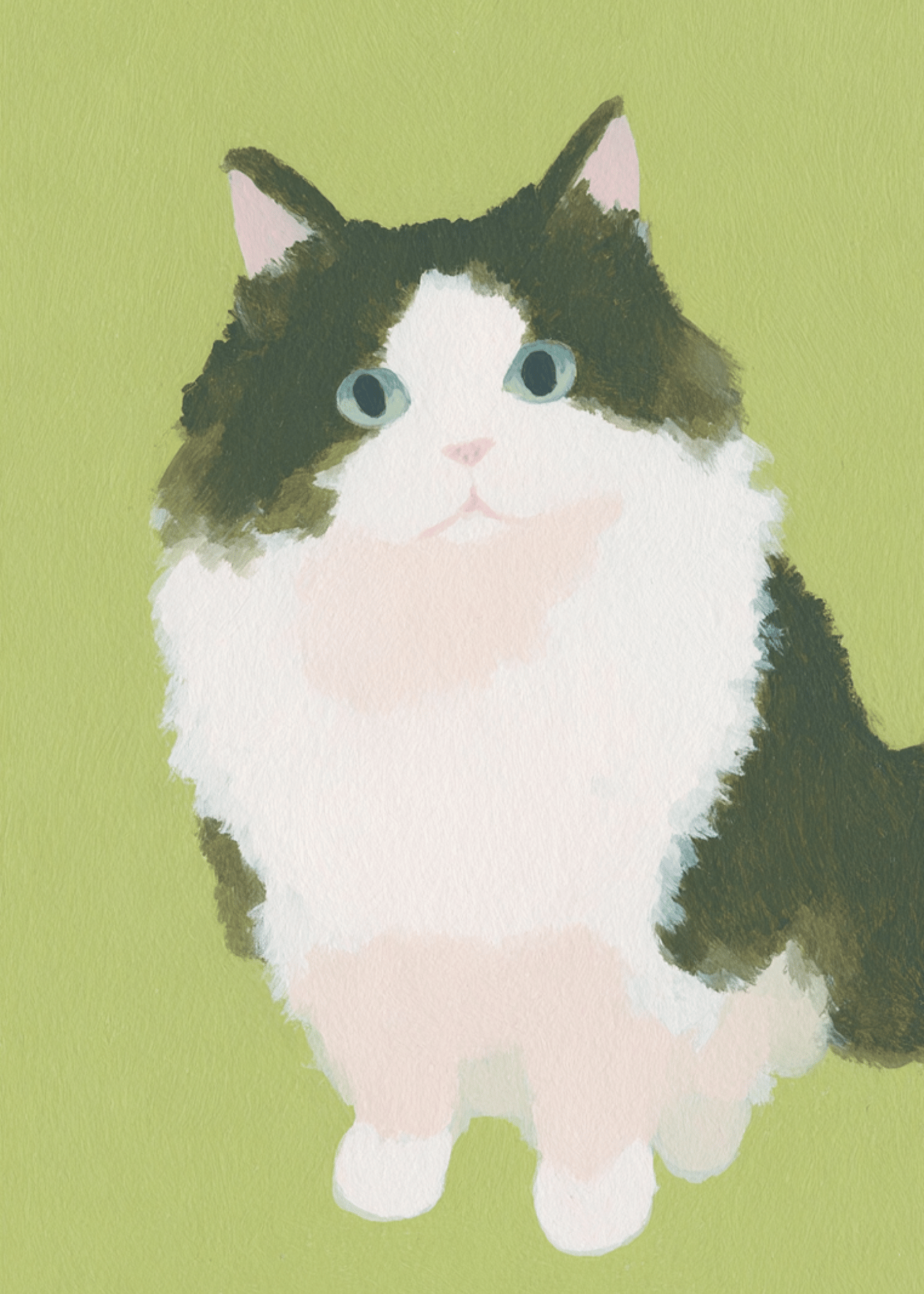 super fluffy cat
