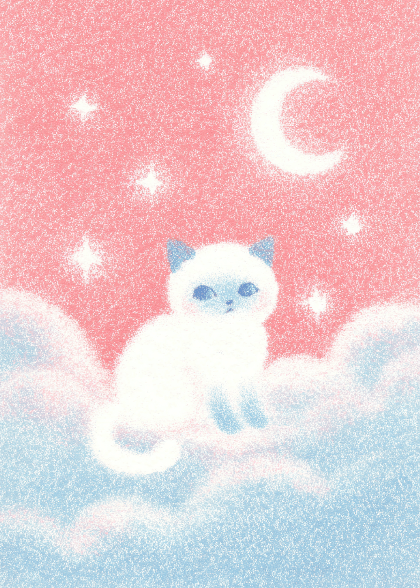 cute siamese cat