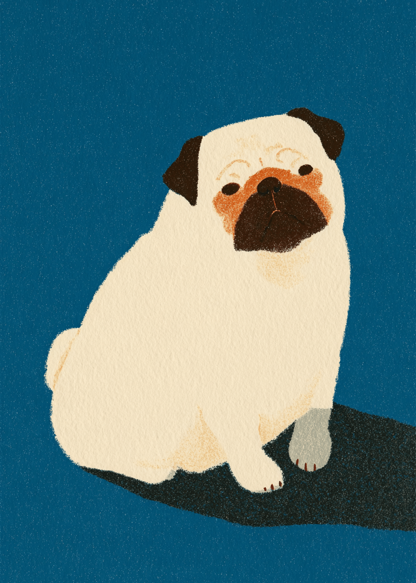 pug sitting