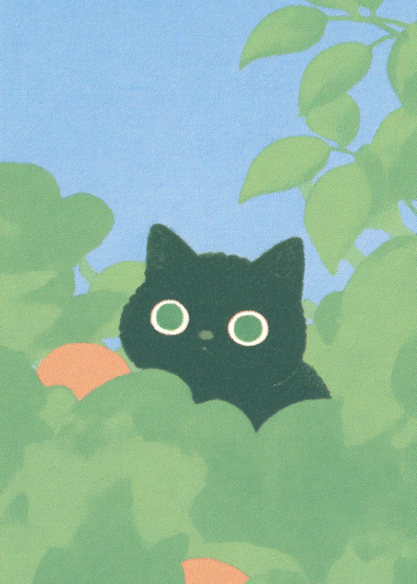 black cat in bush