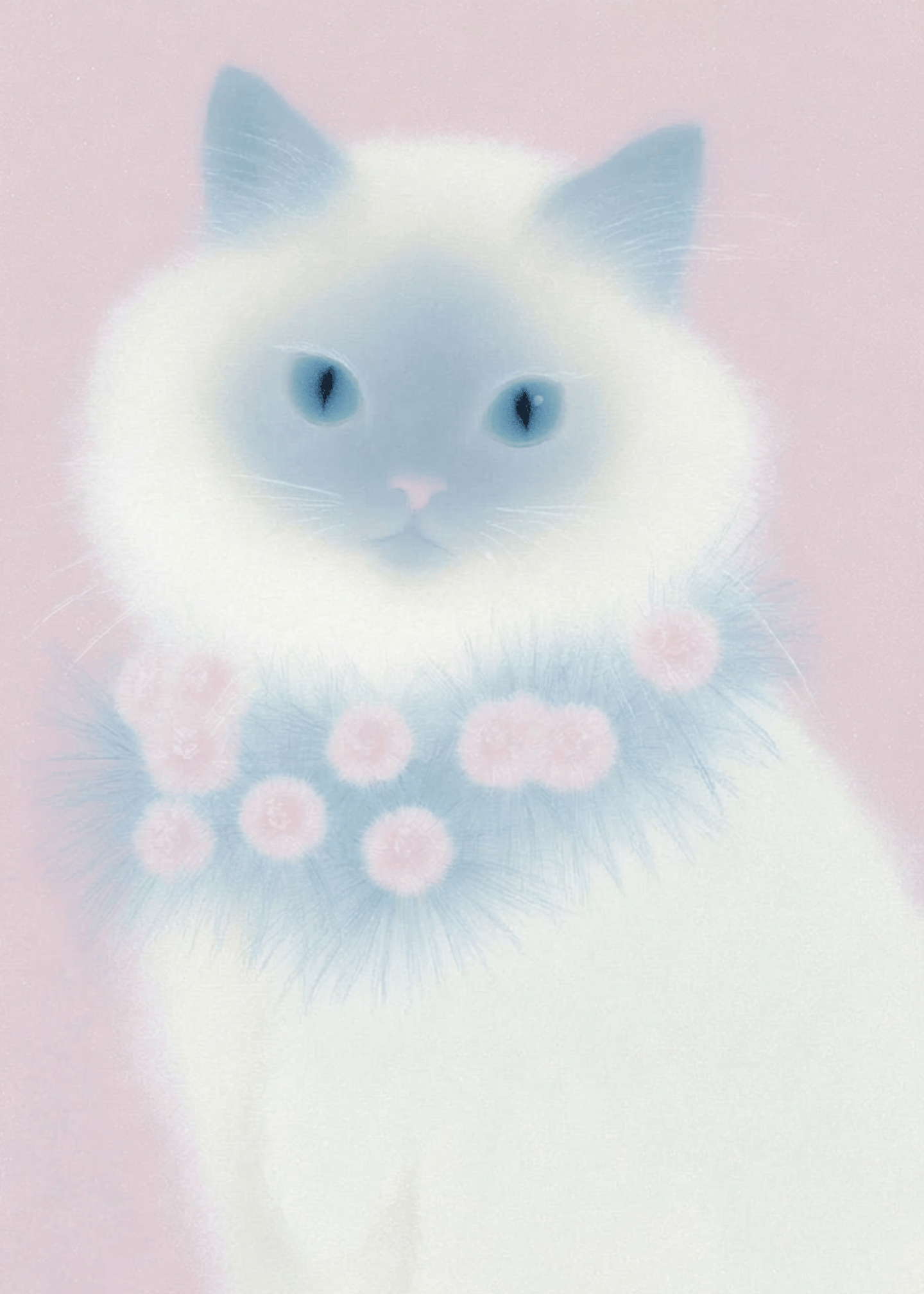 ragdoll cat with cool scarf