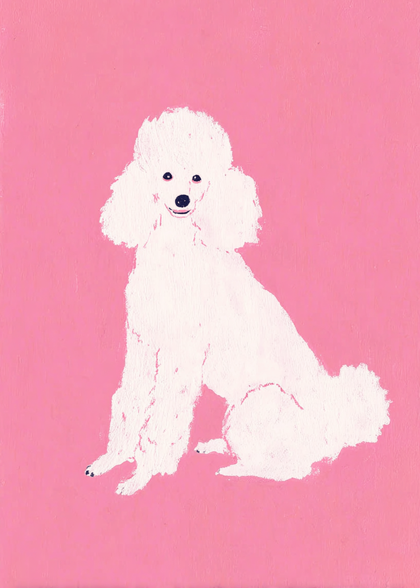 poodle