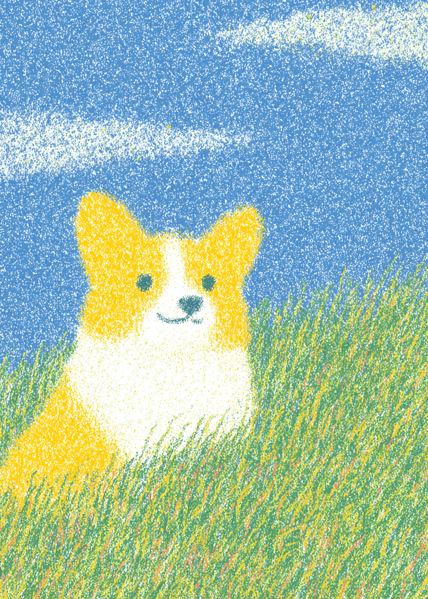 corgi in field
