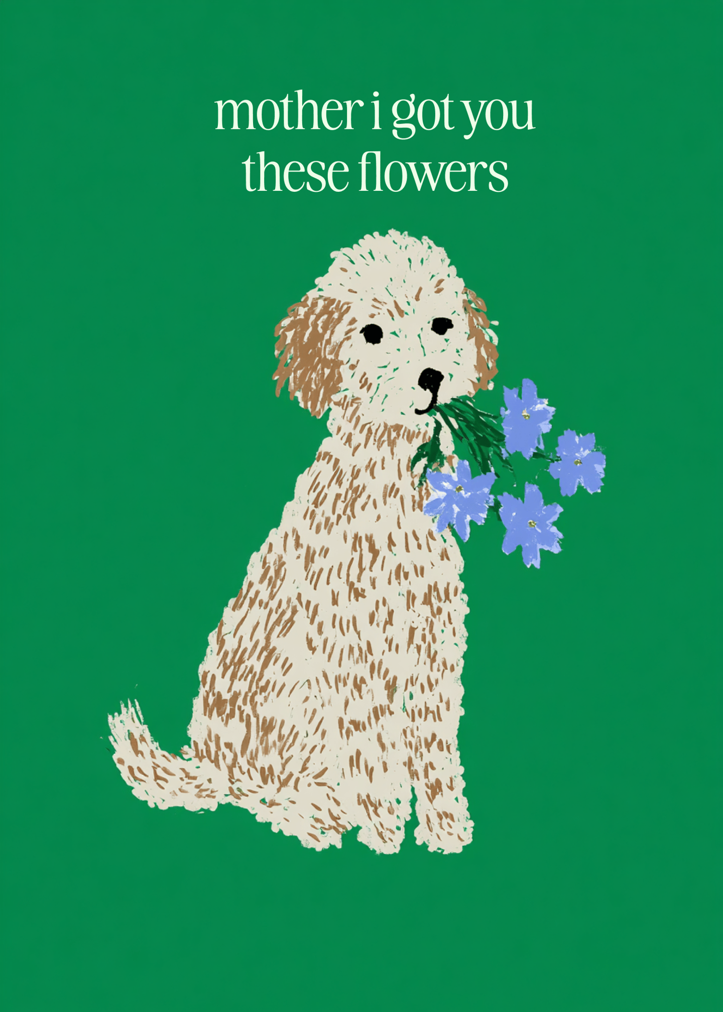 mother i got you these flowers