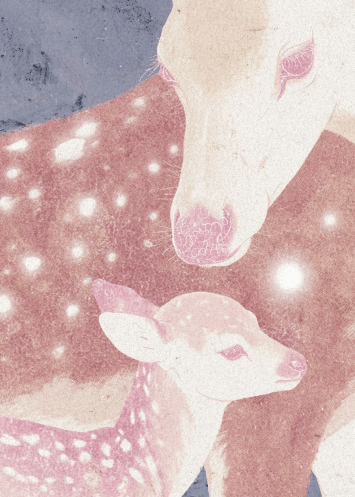 deer mom and baby