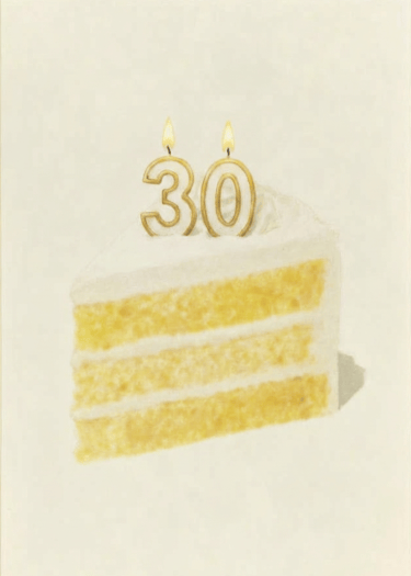 30 cake slice