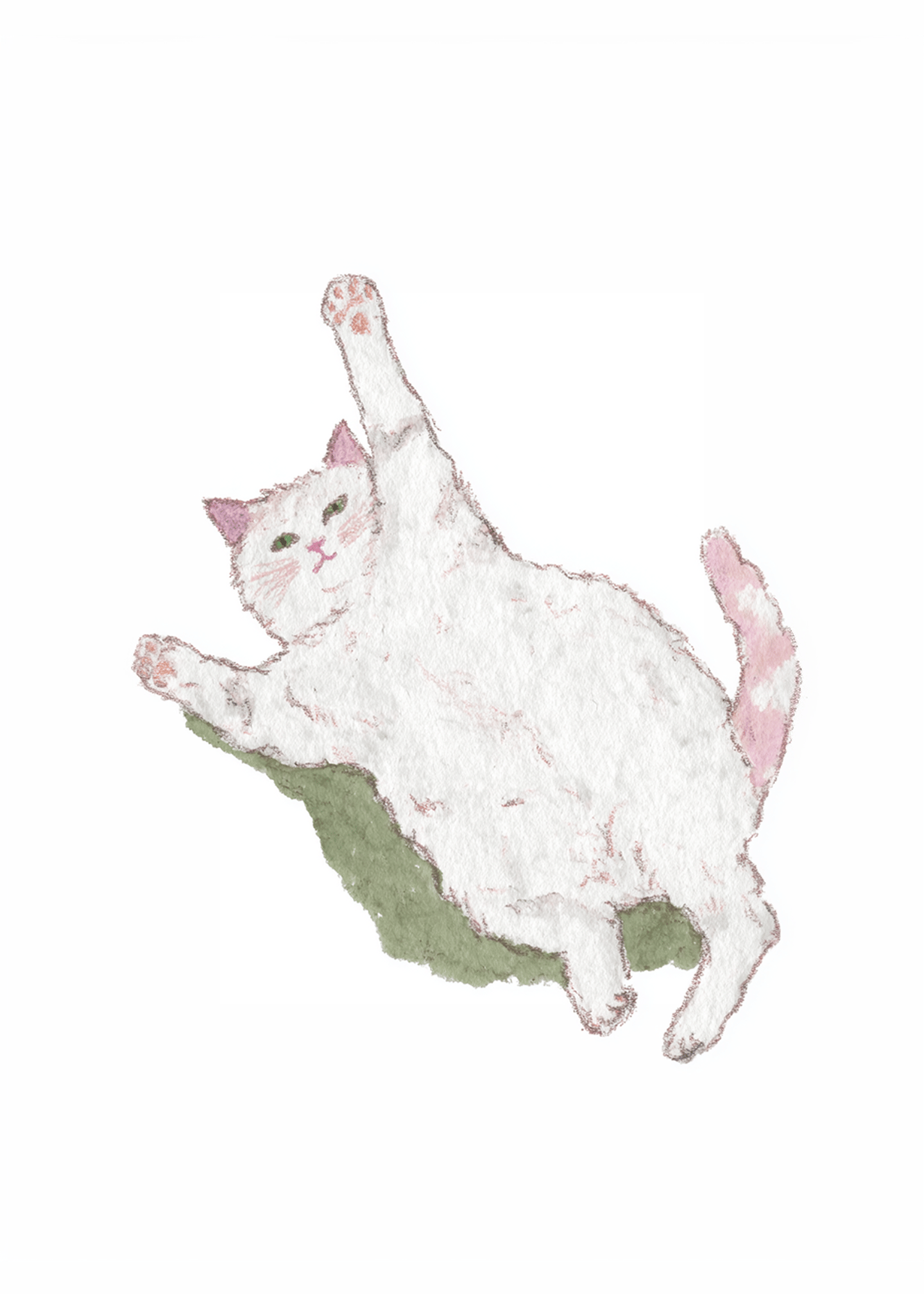 cat posing