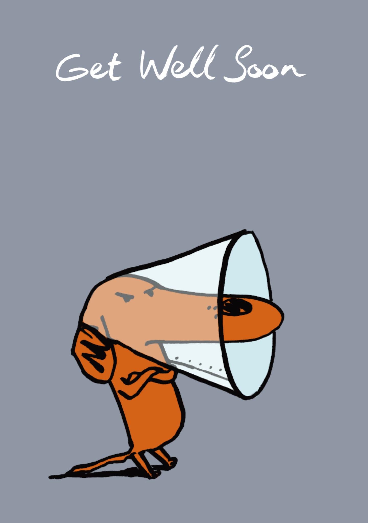 Cone of Shame Get Well